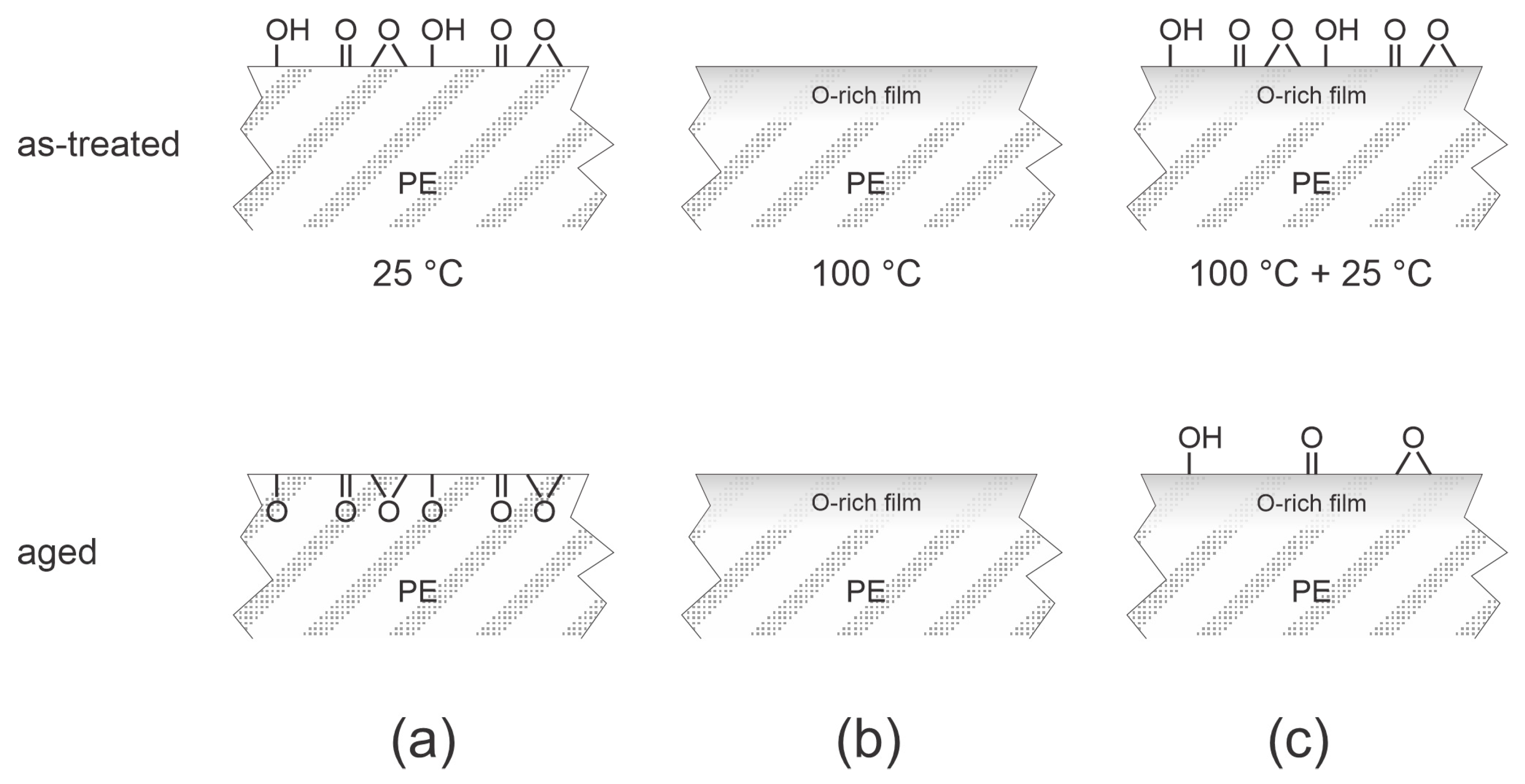 Polymers 15 04668 g002