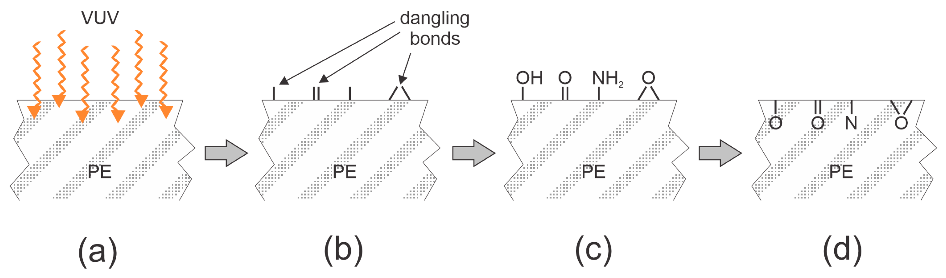Polymers 15 04668 g003