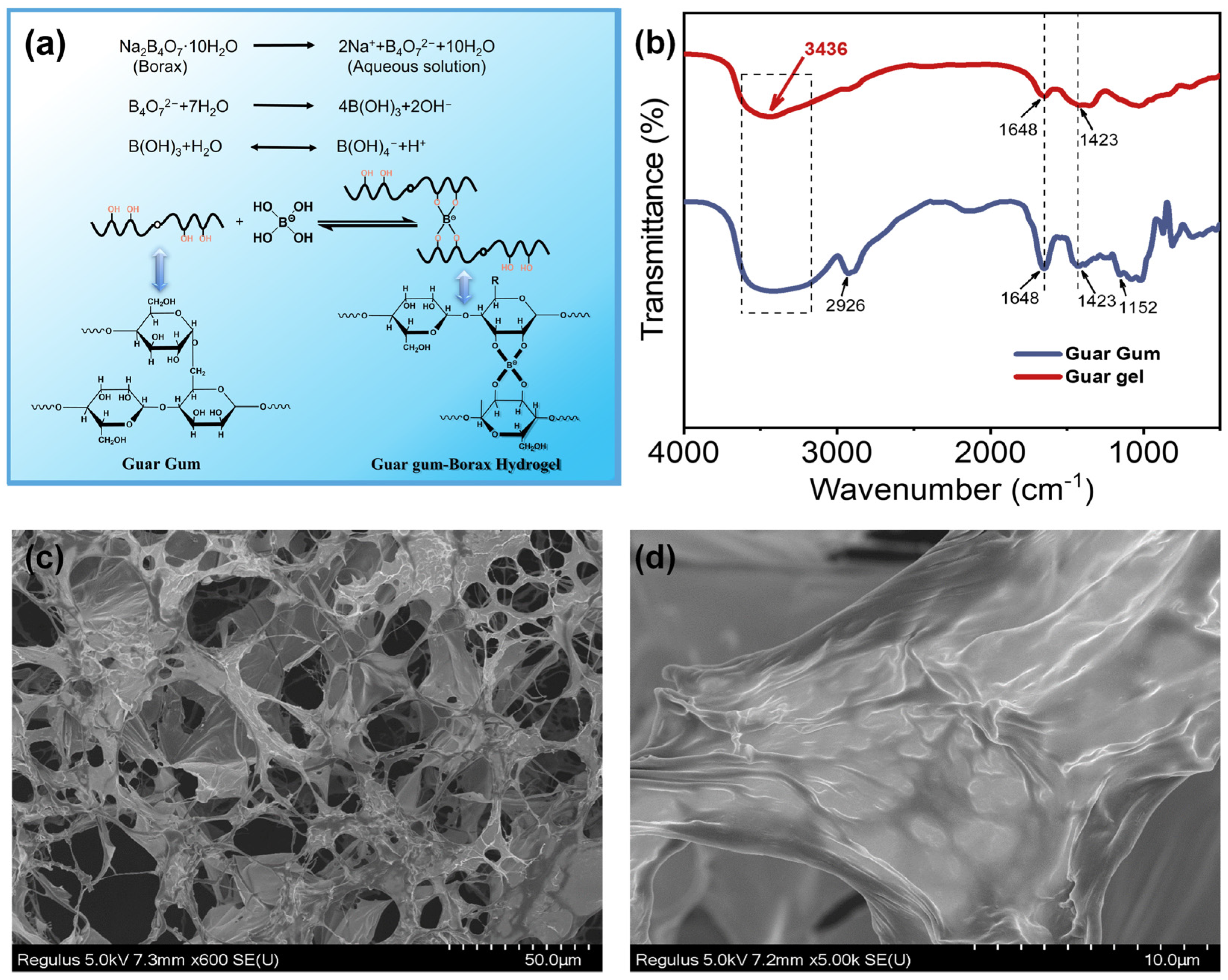 Polymers 15 04669 g001 Polymers 15 04669 g001