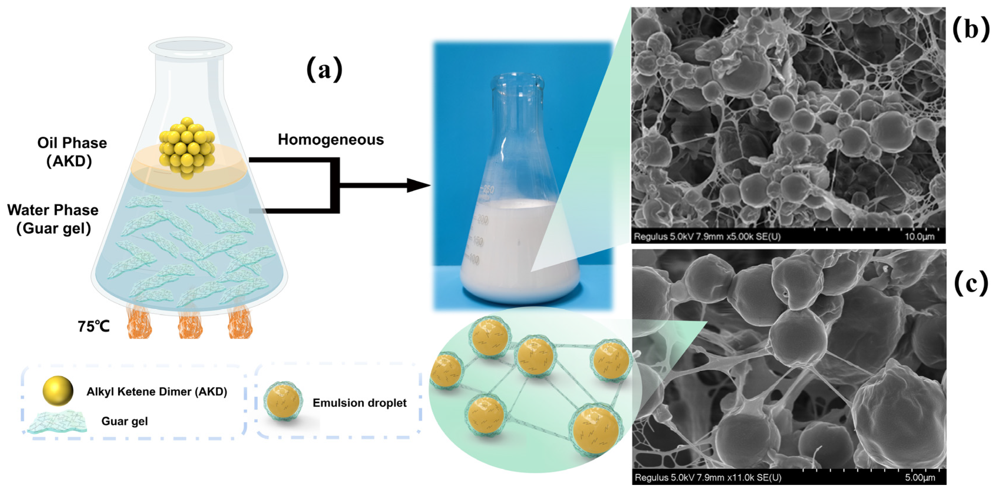 Polymers 15 04669 g005 Polymers 15 04669 g005