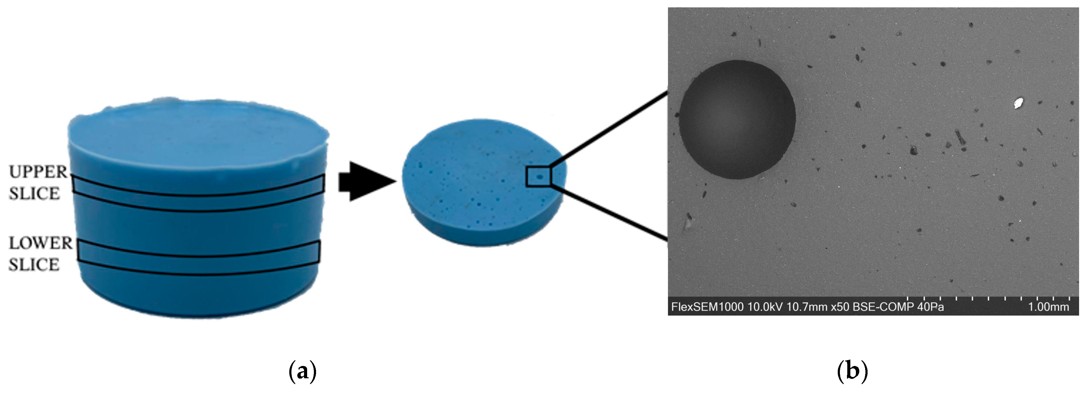 Polymers 15 04670 g002