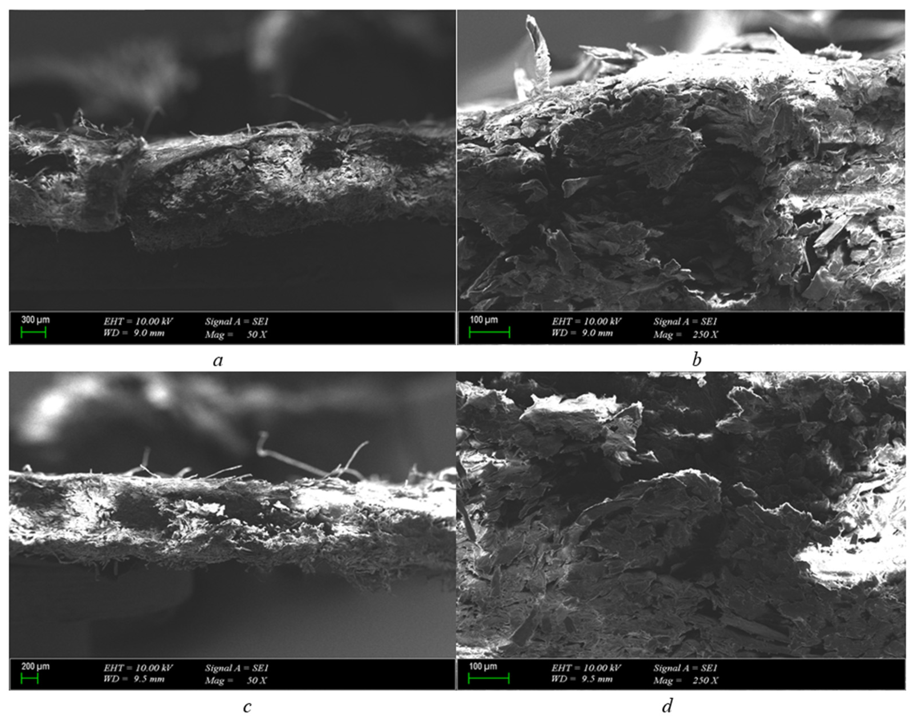 Polymers 15 04671 g003