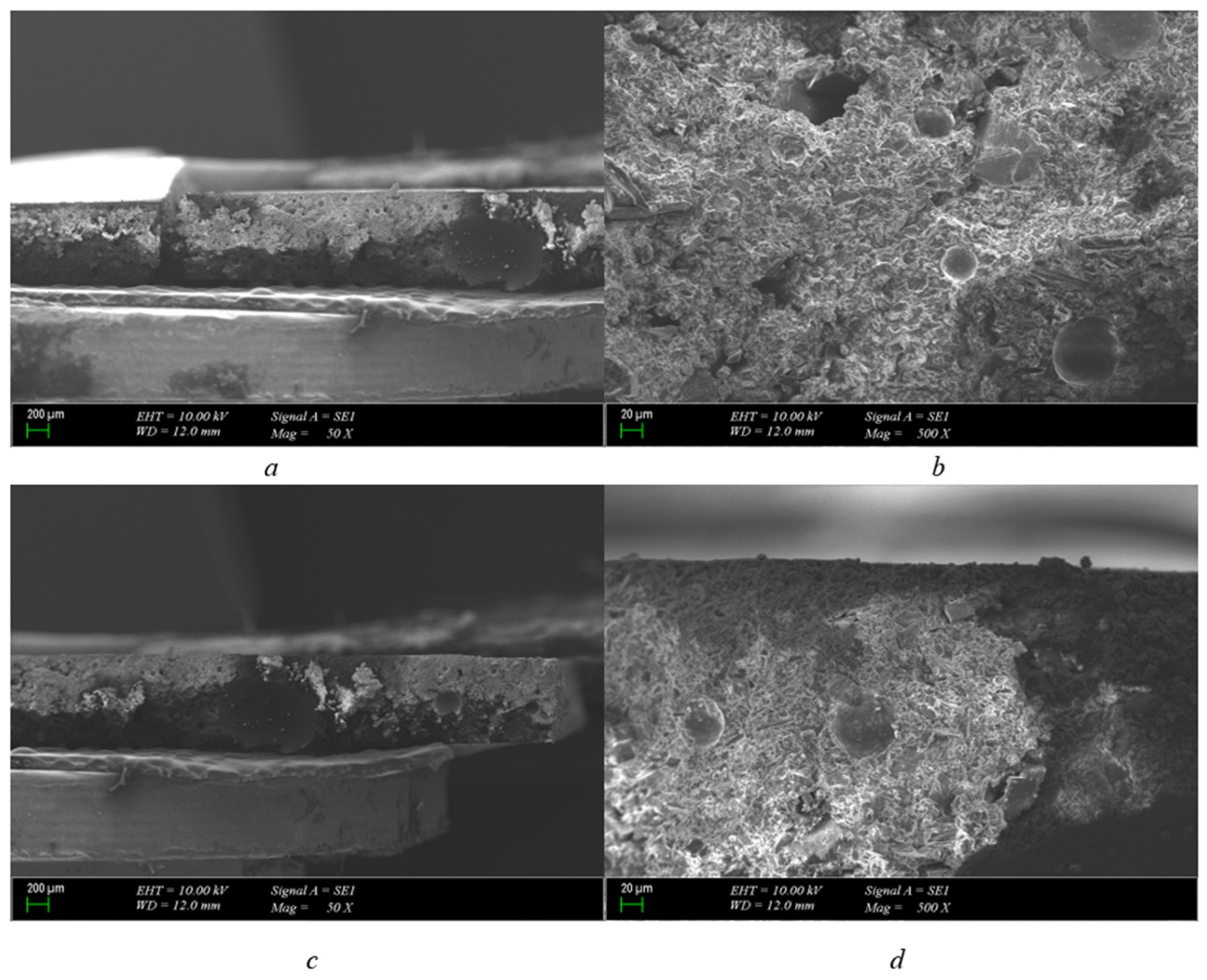 Polymers 15 04671 g004
