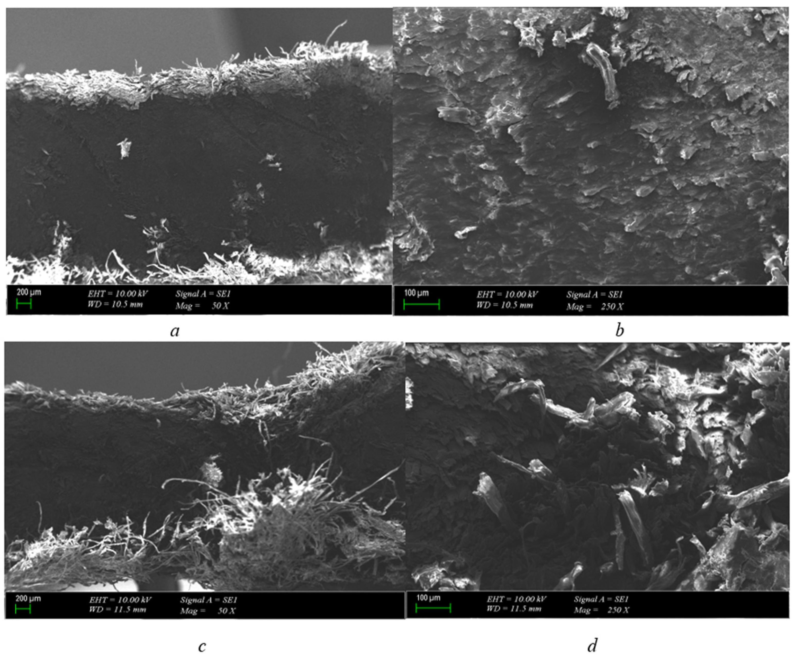 Polymers 15 04671 g005