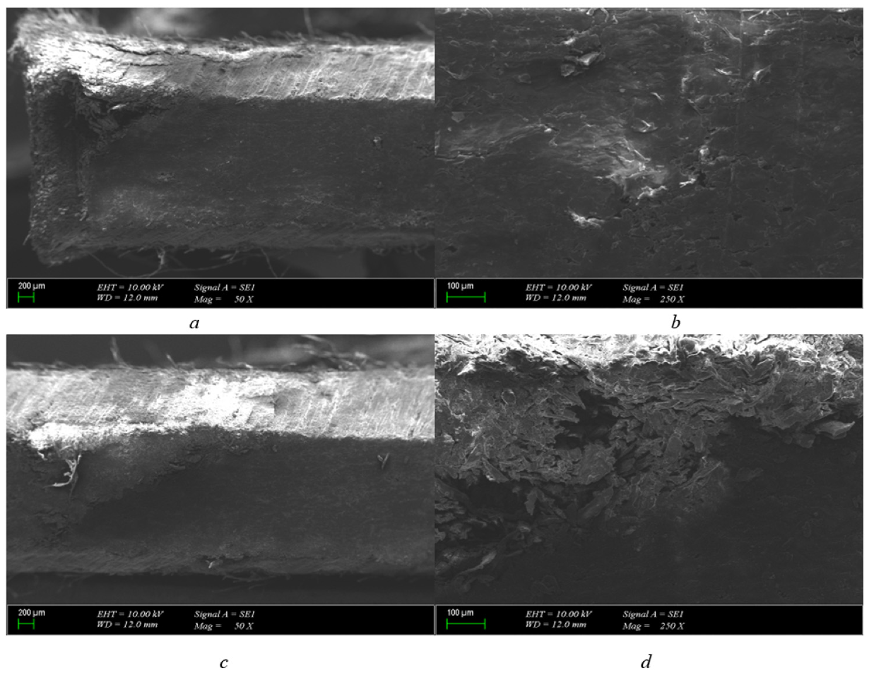 Polymers 15 04671 g007