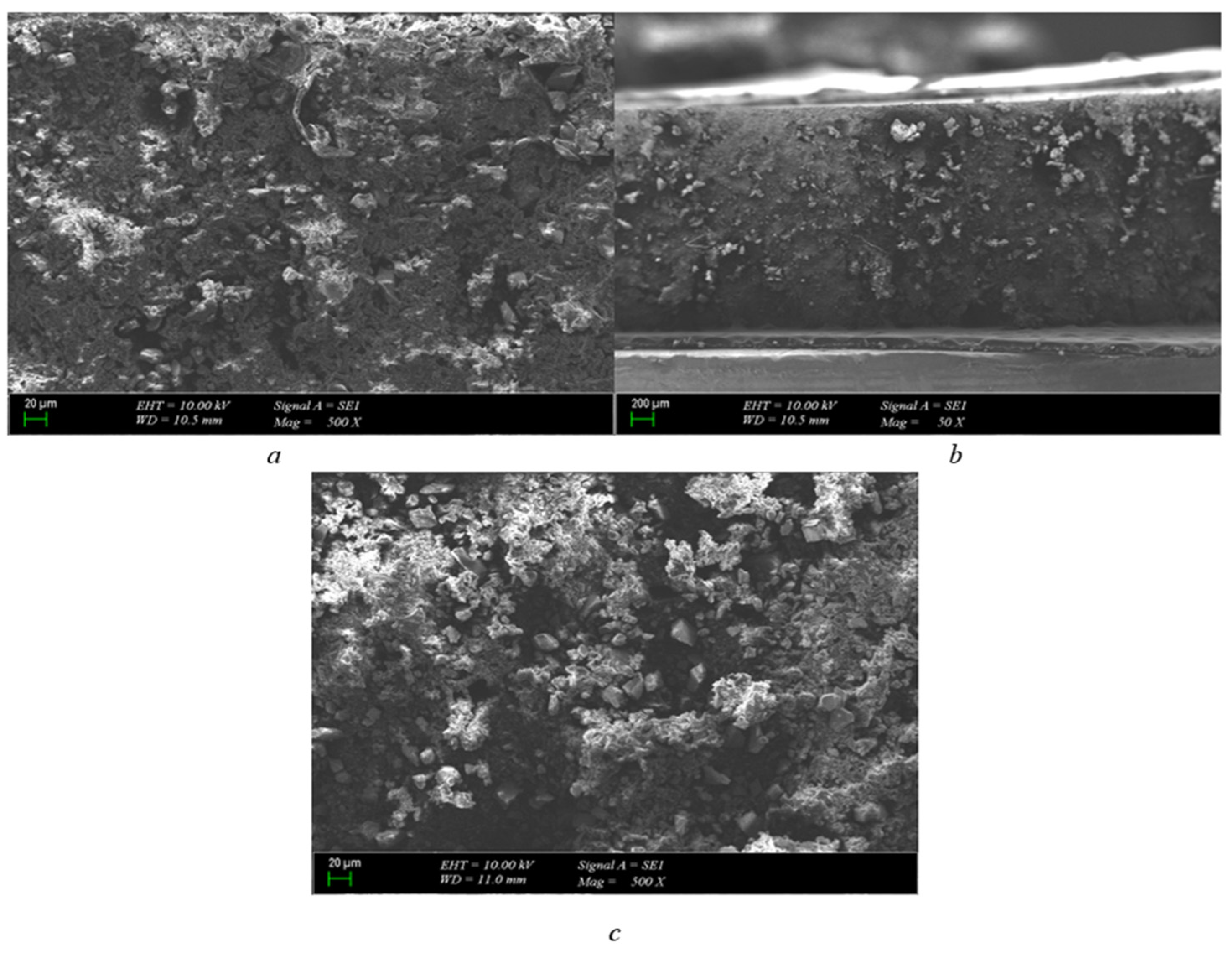 Polymers 15 04671 g008