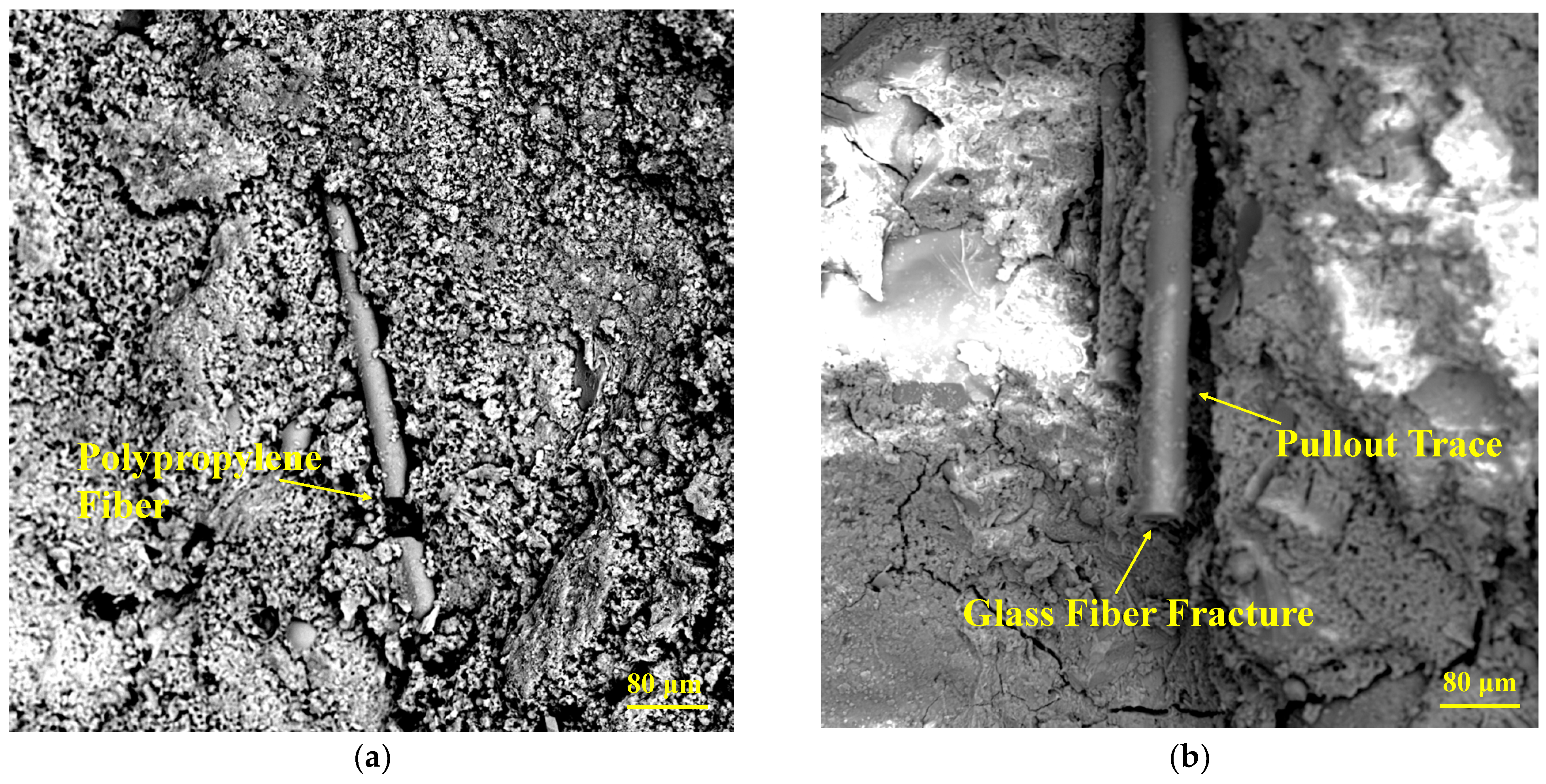 Polymers 15 04675 g018