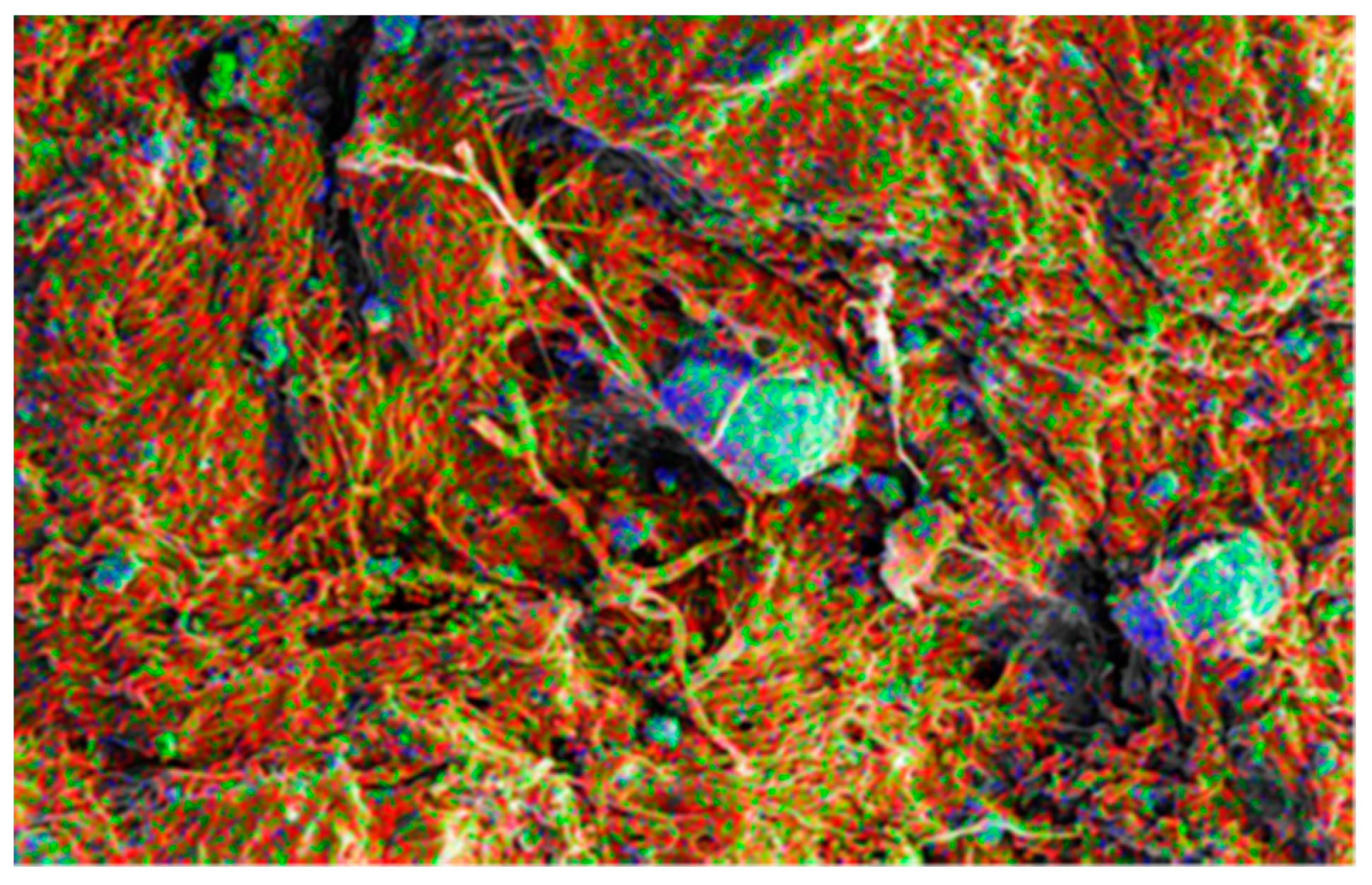 Polymers 15 04676 g008