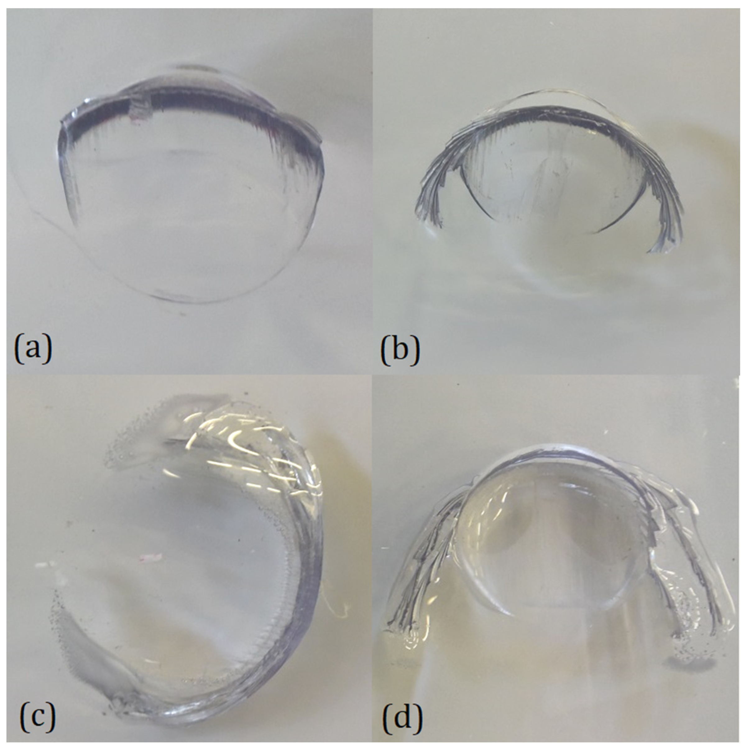 Polymers 15 04677 g007