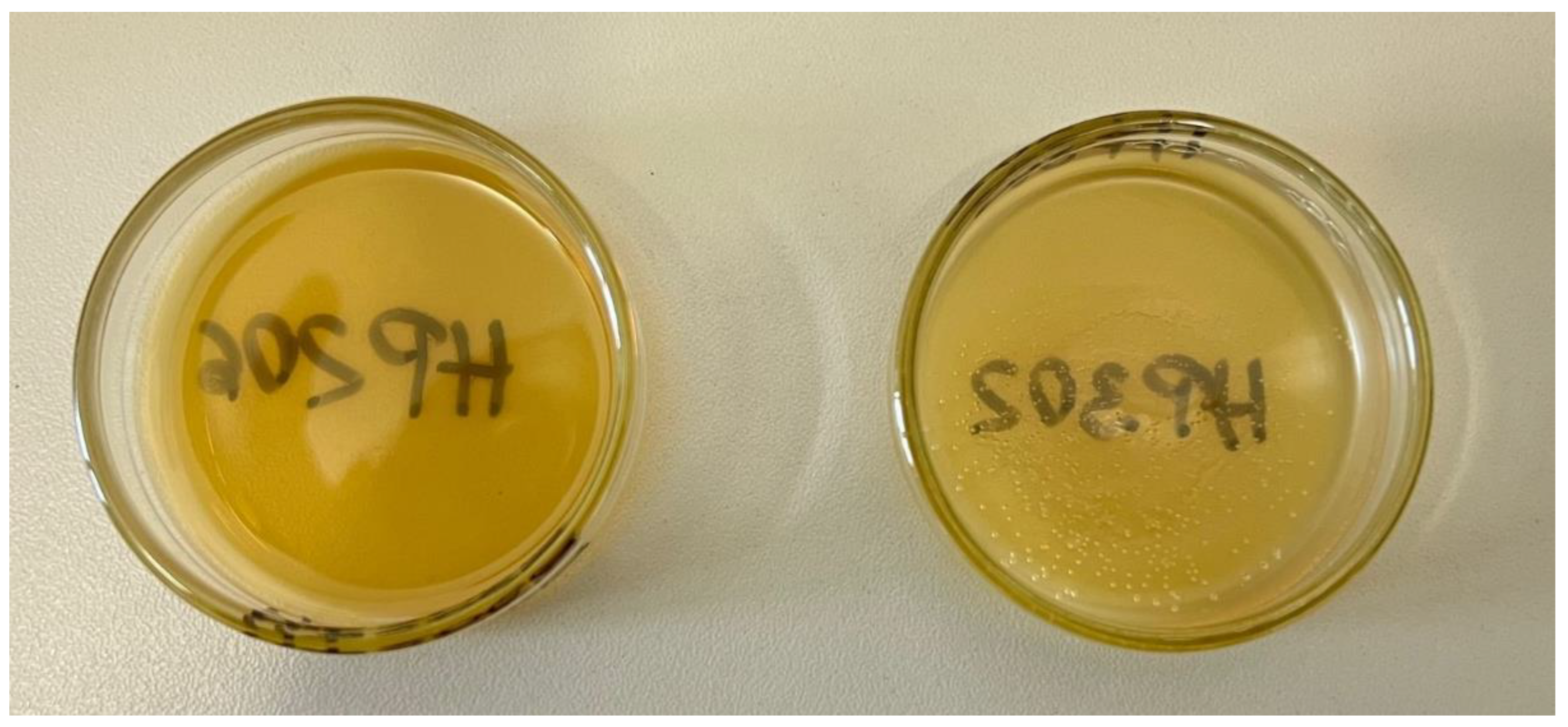 Polymers 15 04678 g003