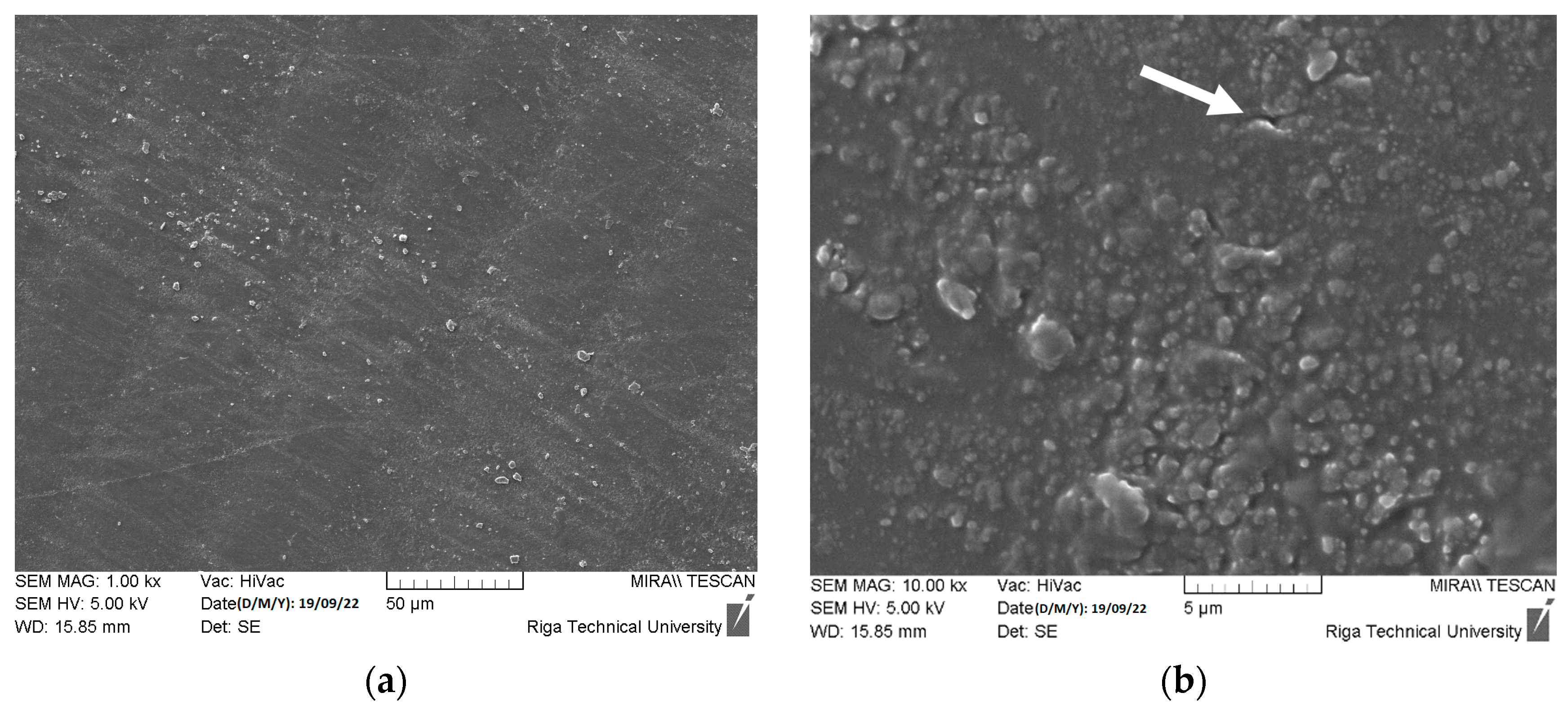 Polymers 15 04679 g009