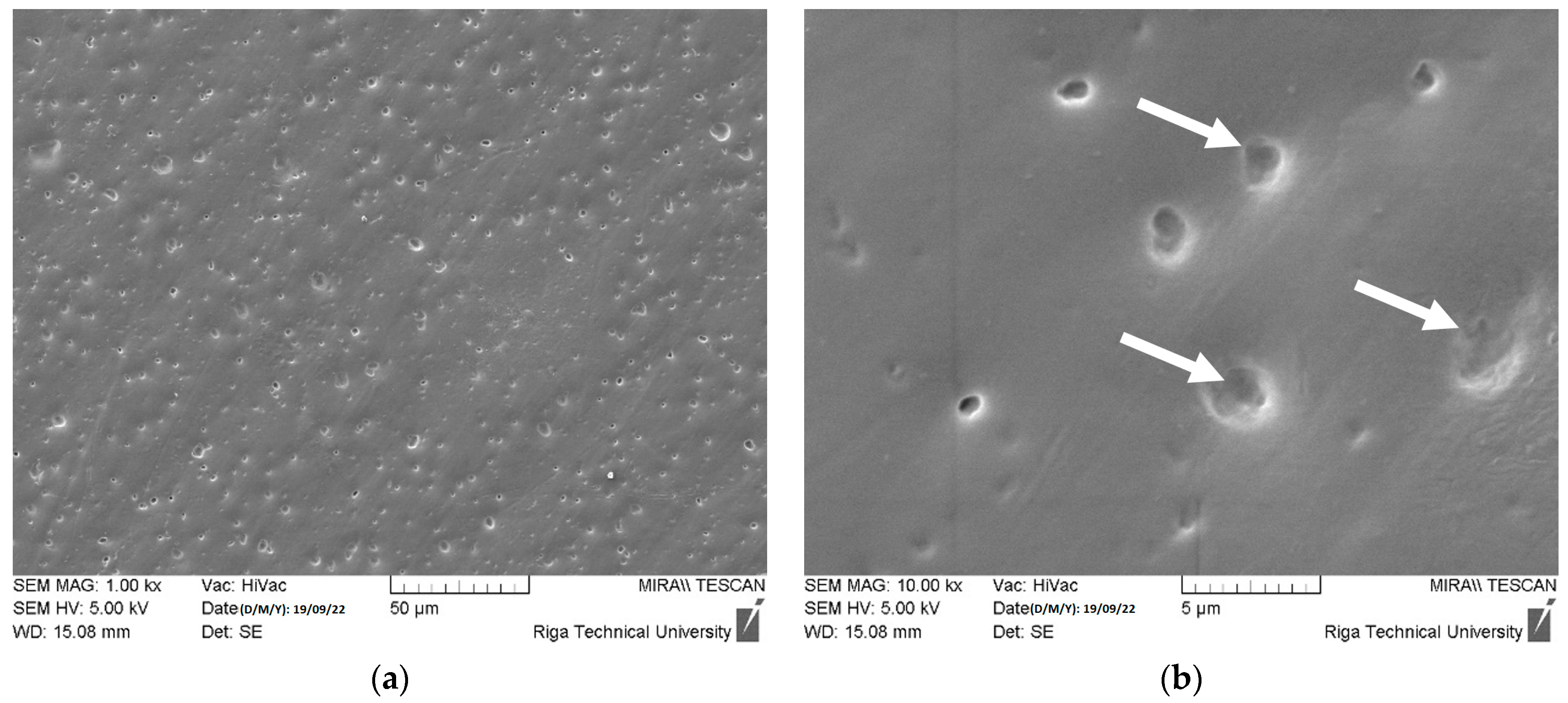 Polymers 15 04679 g011