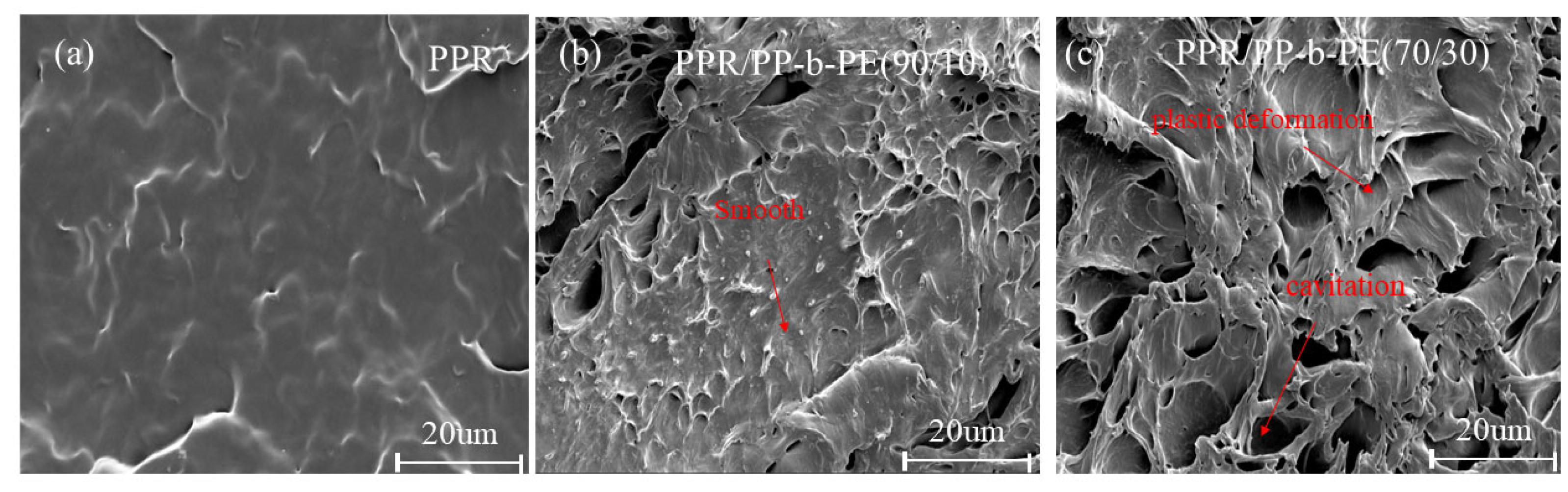 Polymers 15 04680 g007
