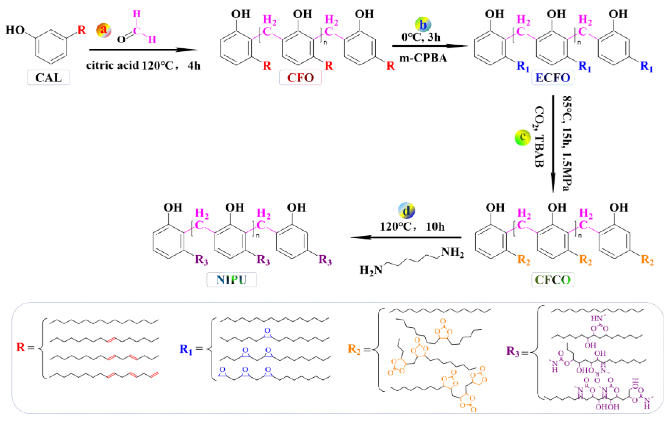 Polymers 15 04683 sch001