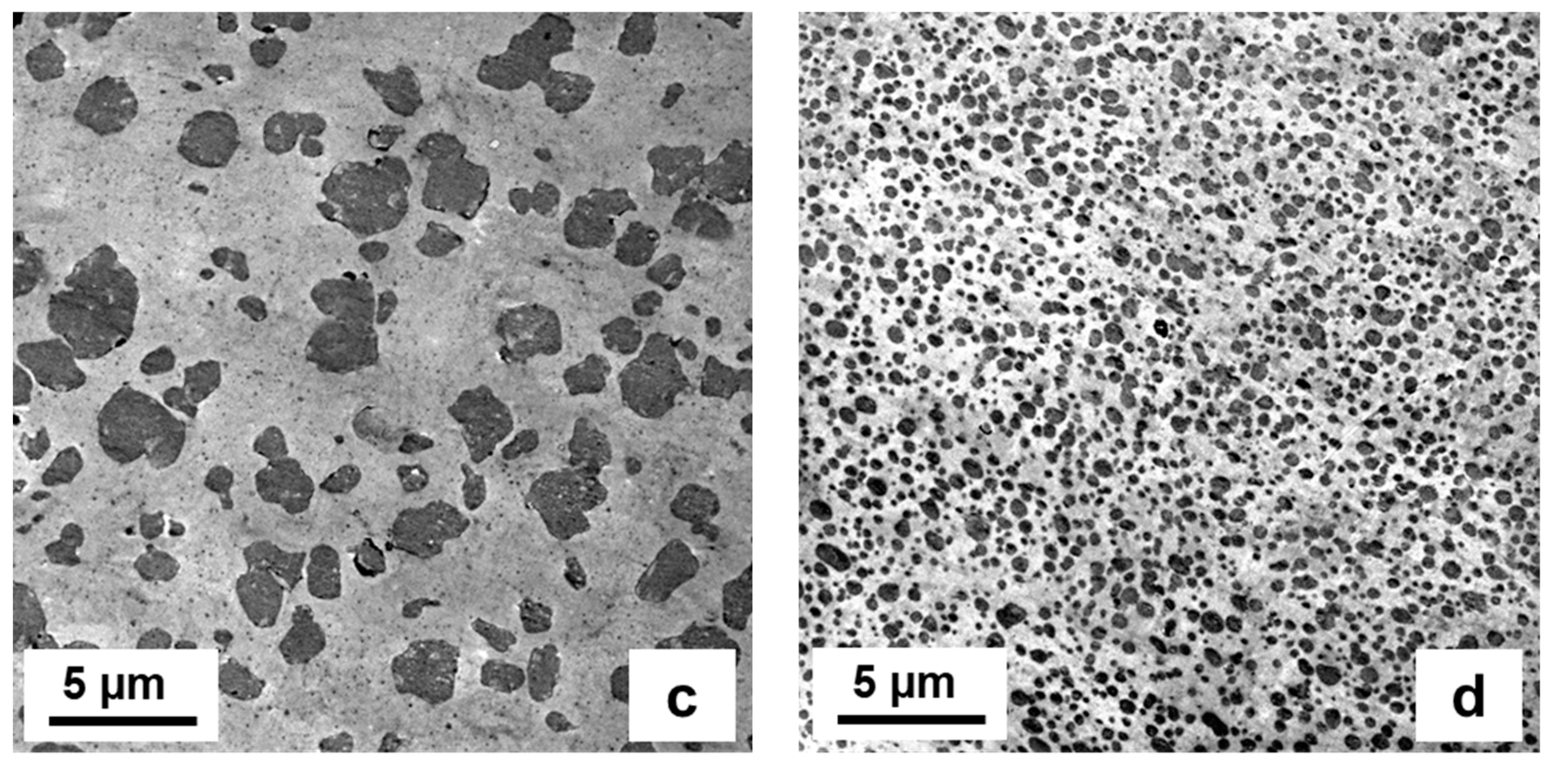 Polymers 15 04692 g003b