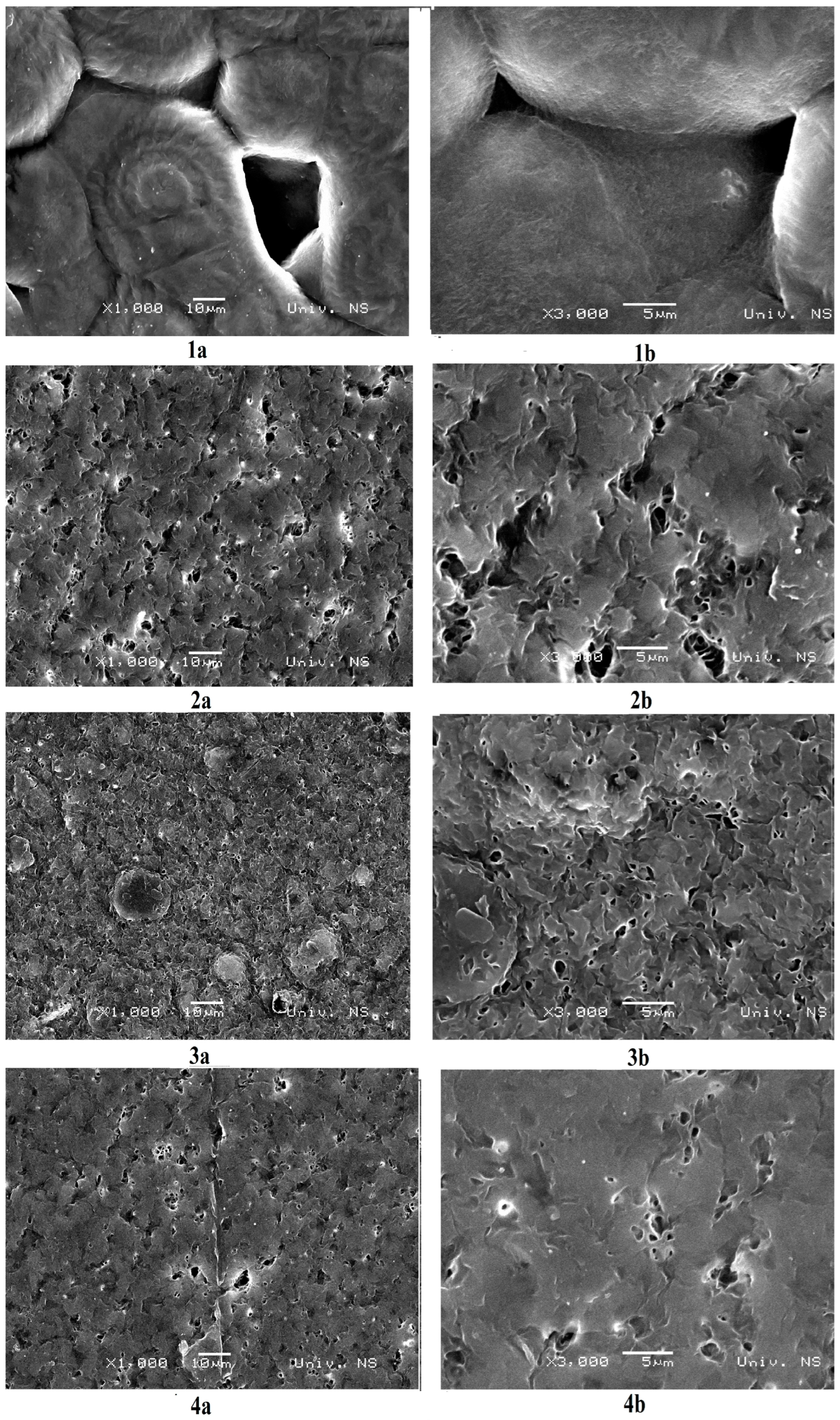 Polymers 15 04694 g003
