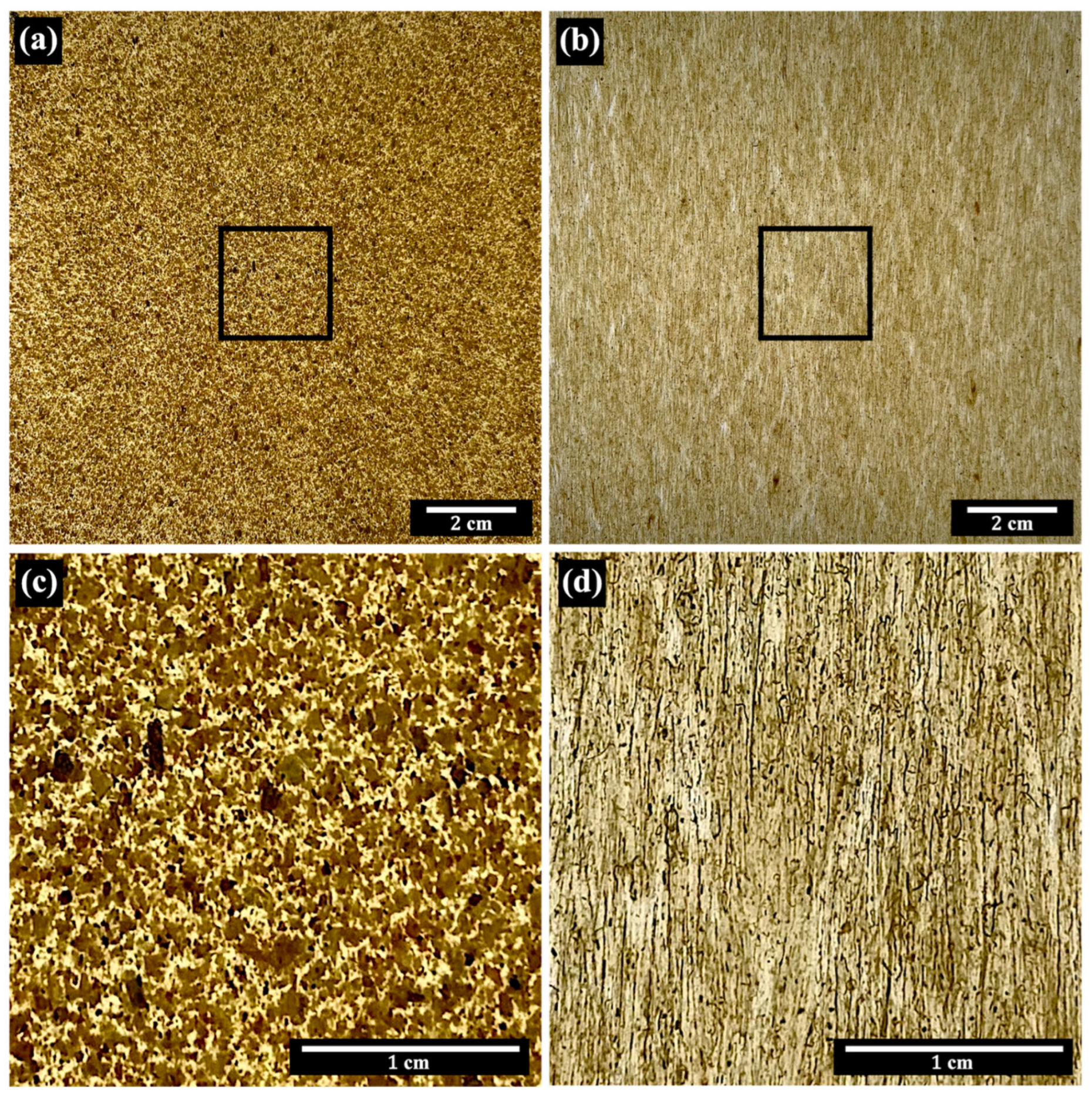 Polymers 15 04697 g005