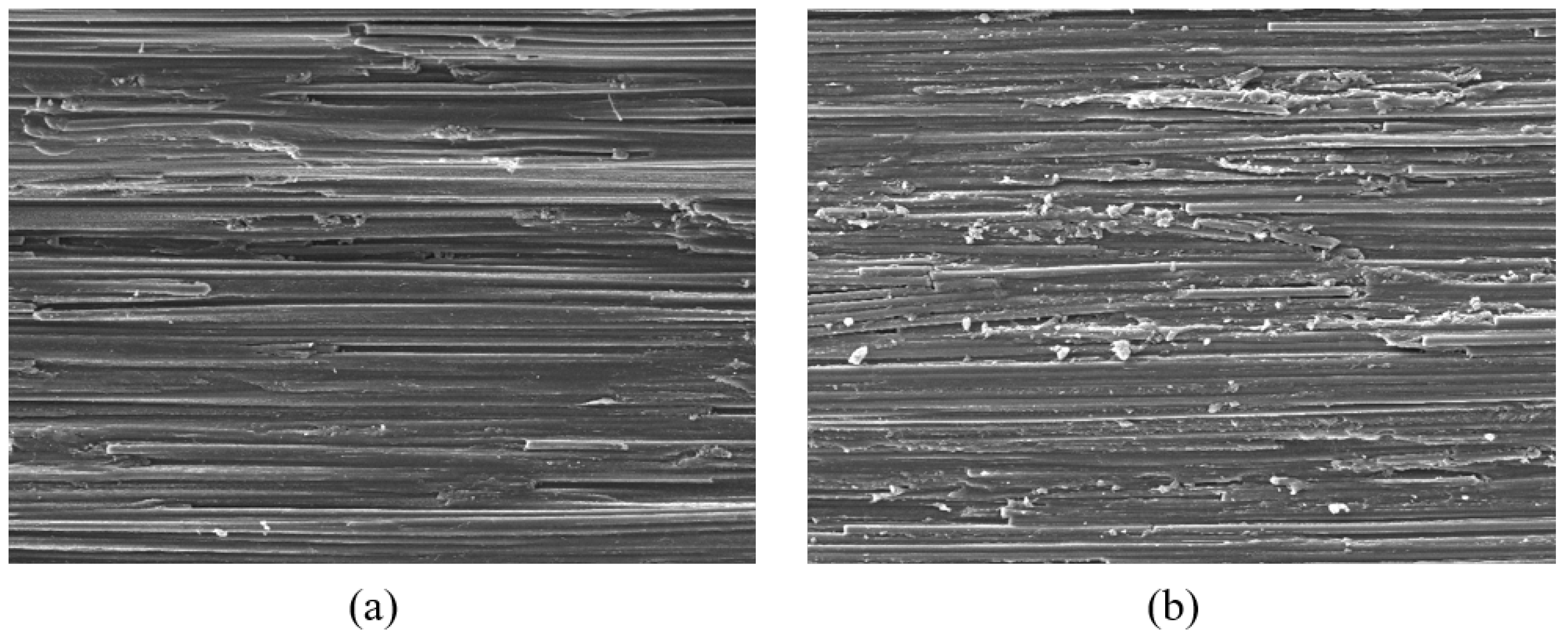 Polymers 15 04699 g006