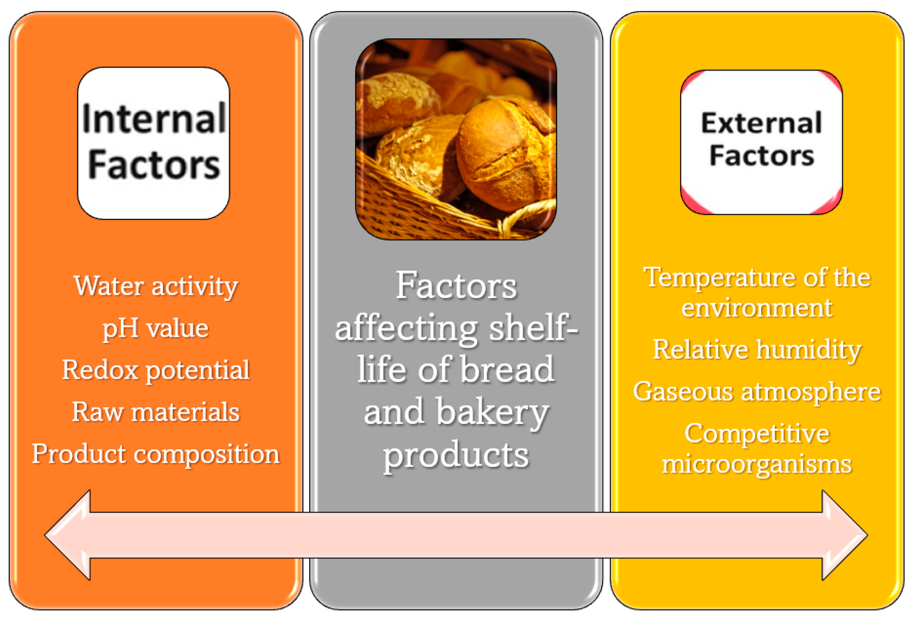 Polymers 15 04700 g002
