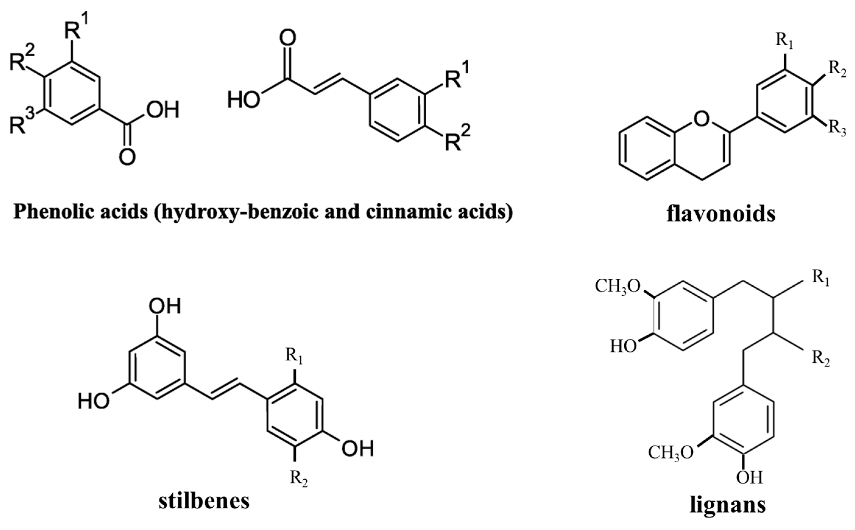 Polymers 15 04700 g005