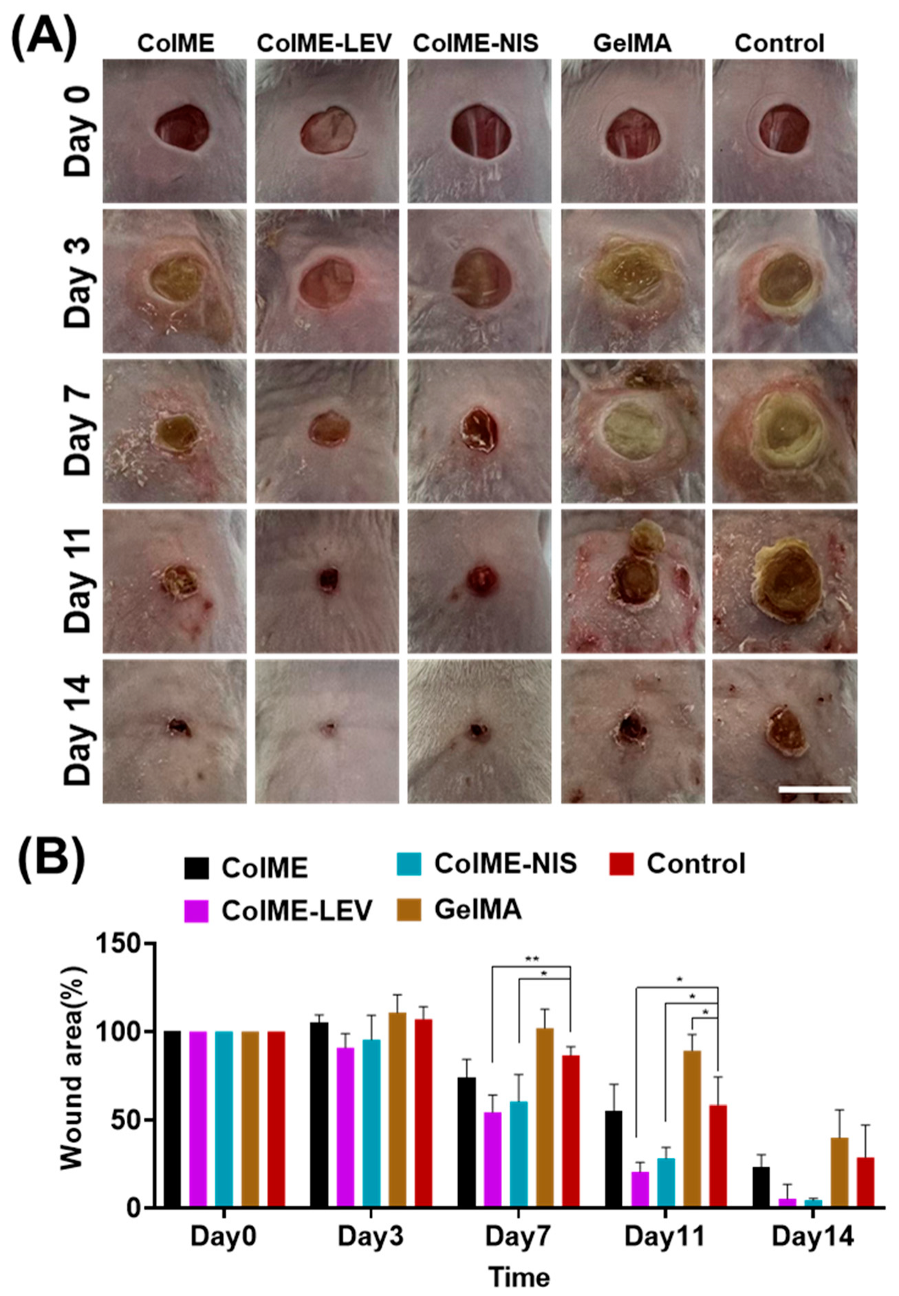 Polymers 15 04701 g005