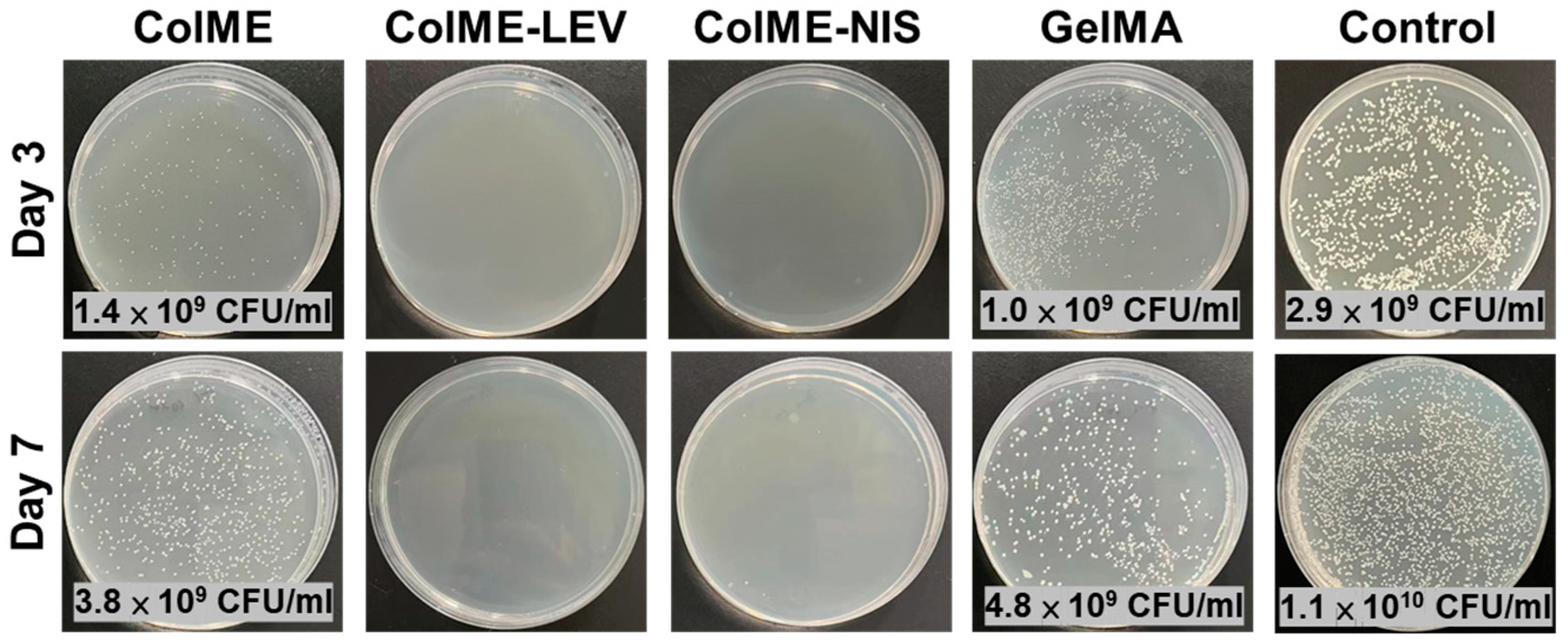 Polymers 15 04701 g006