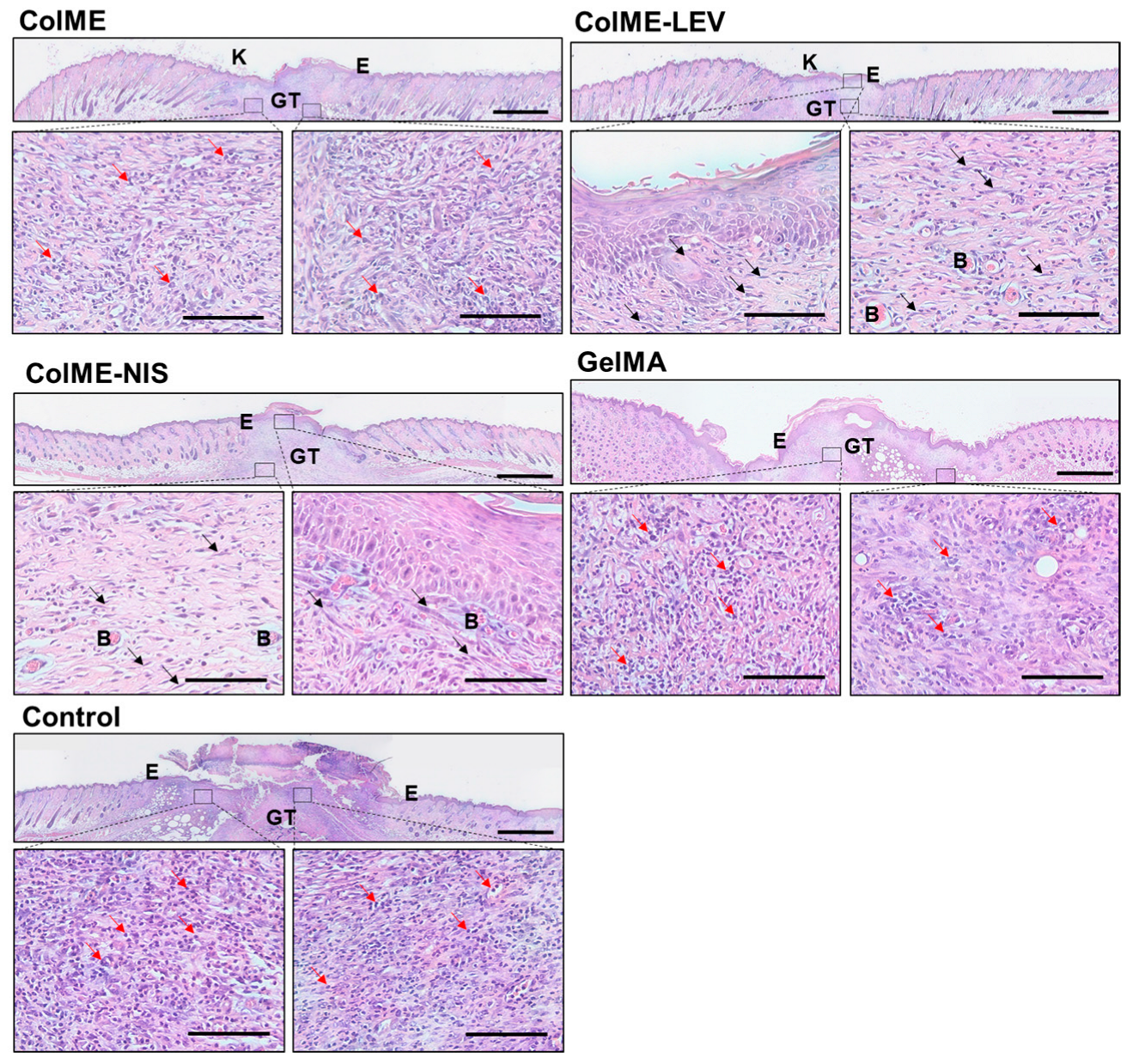 Polymers 15 04701 g007