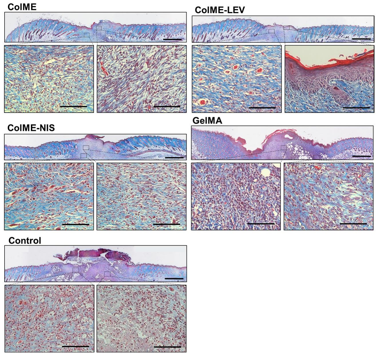 Polymers 15 04701 g008