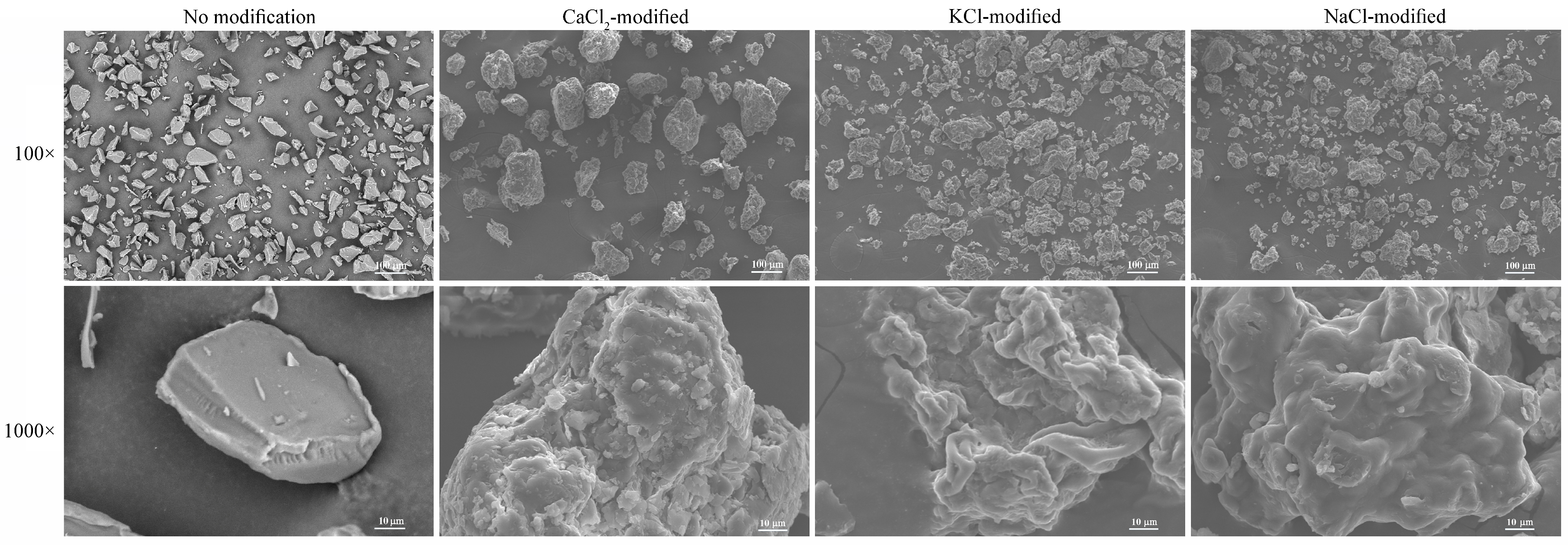 Polymers 15 04702 g002