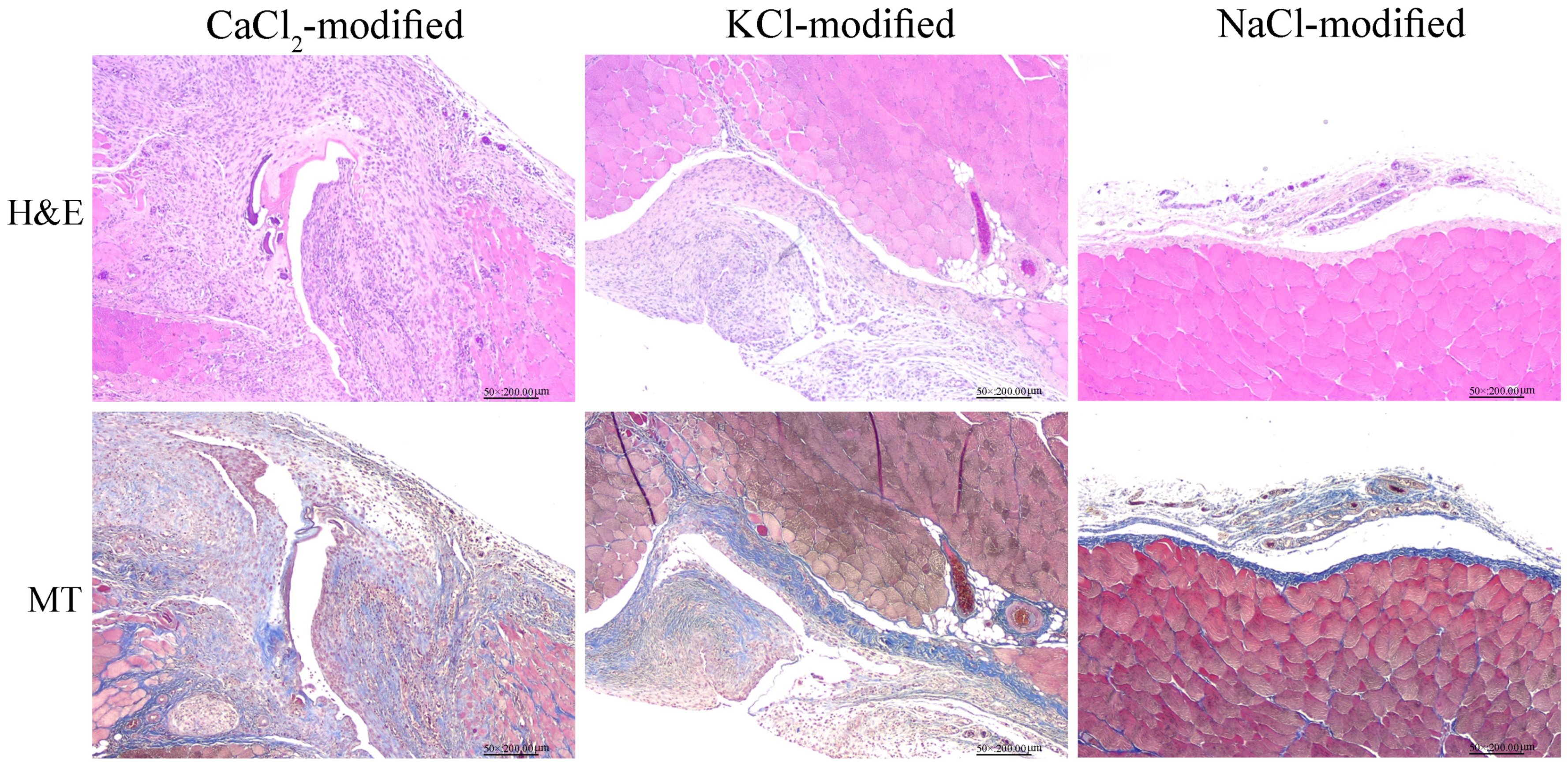 Polymers 15 04702 g005