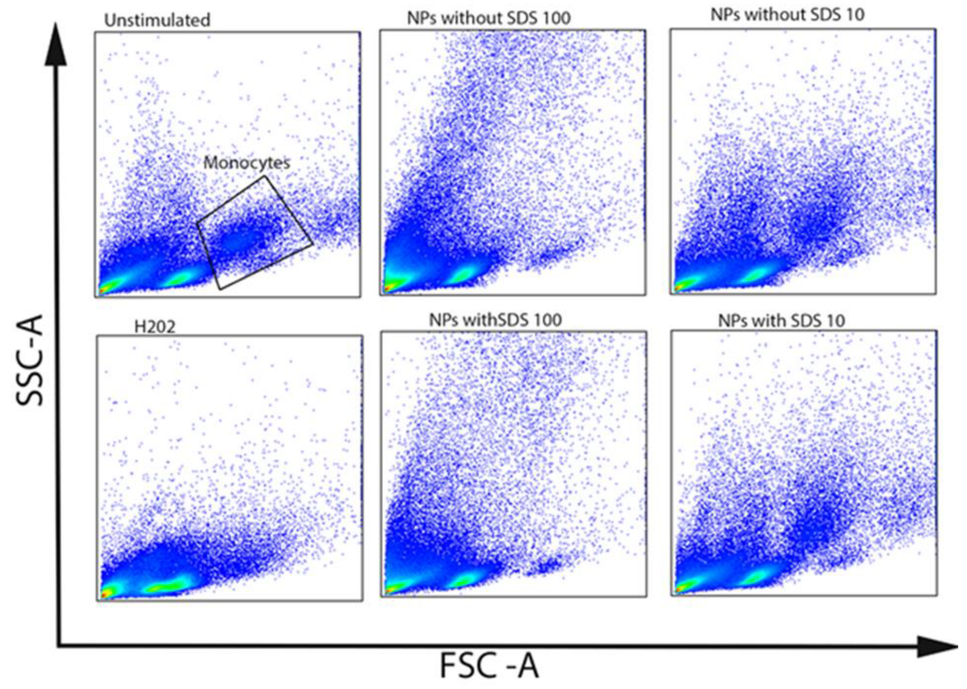 Polymers 15 04703 g007