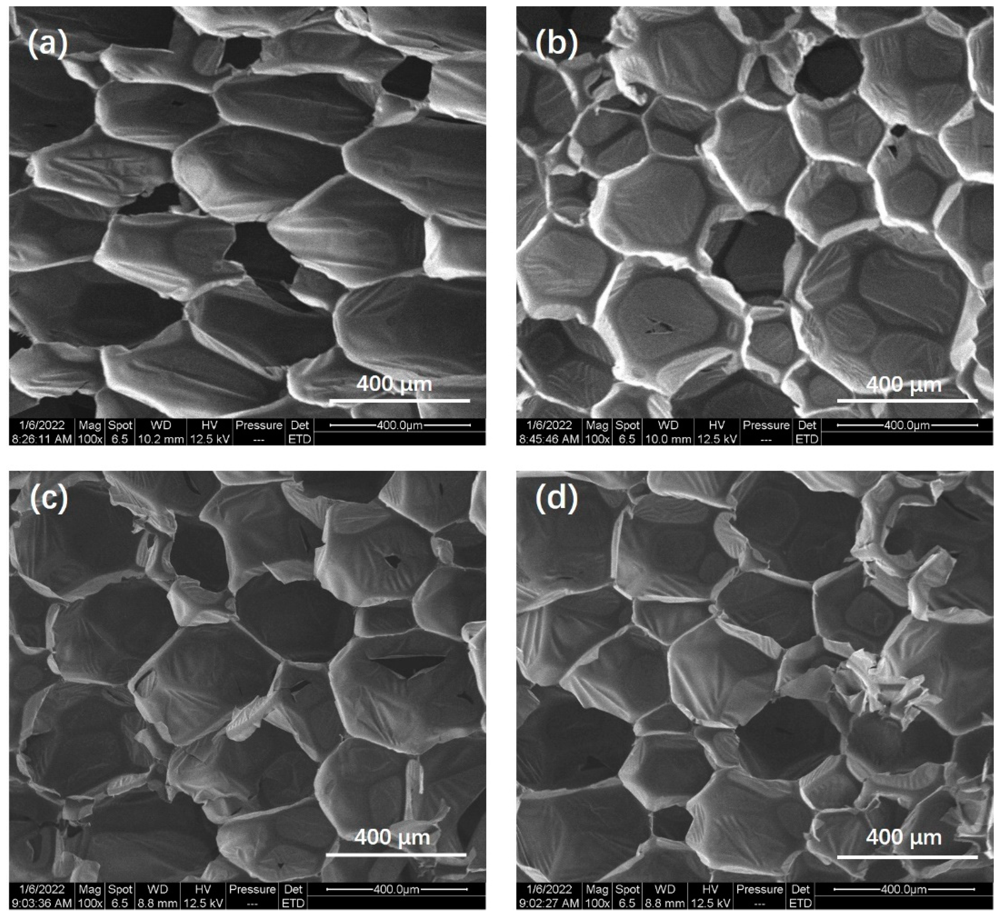 Polymers 15 04709 g003