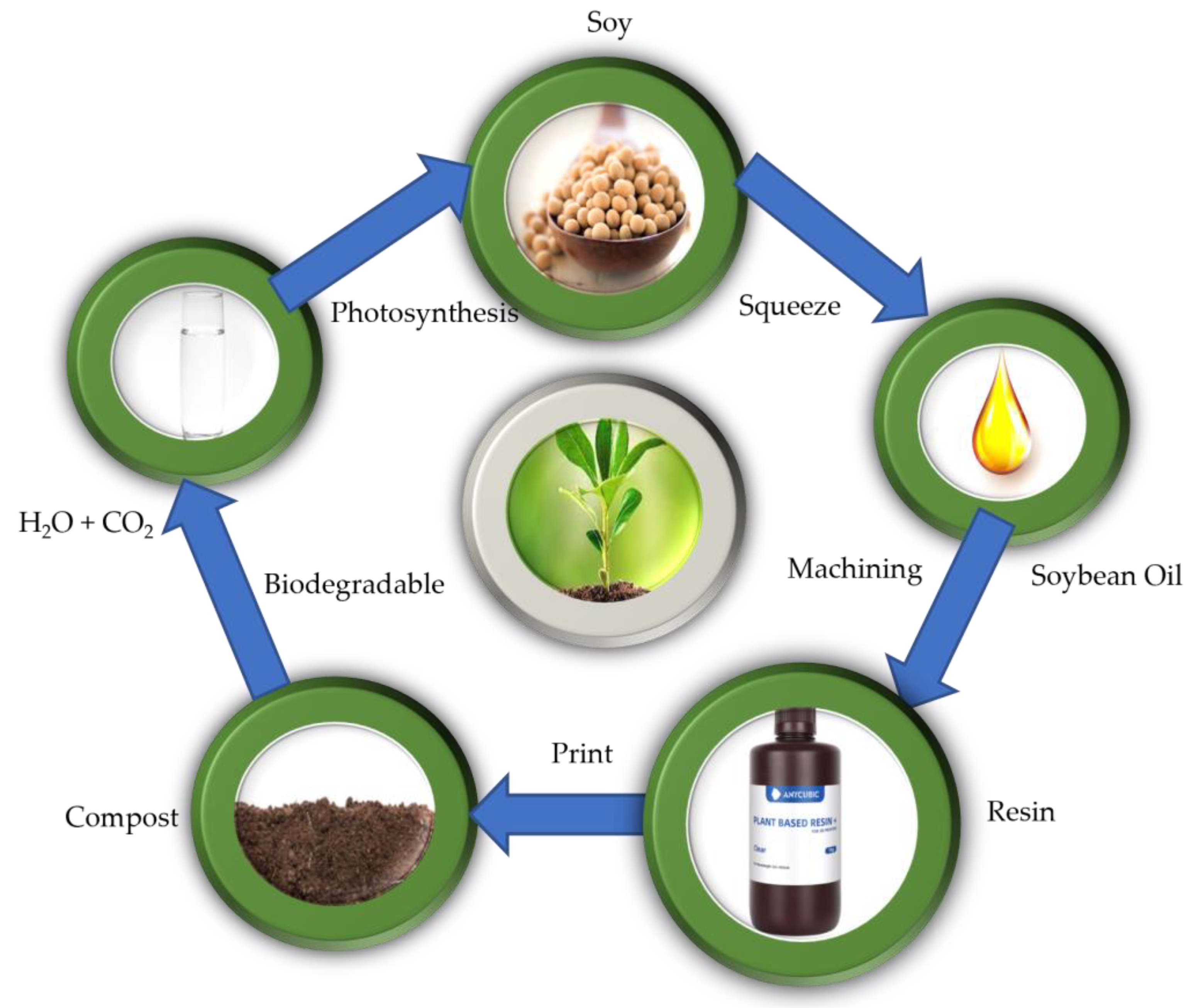 Polymers 15 04713 g001 Polymers 15 04713 g001