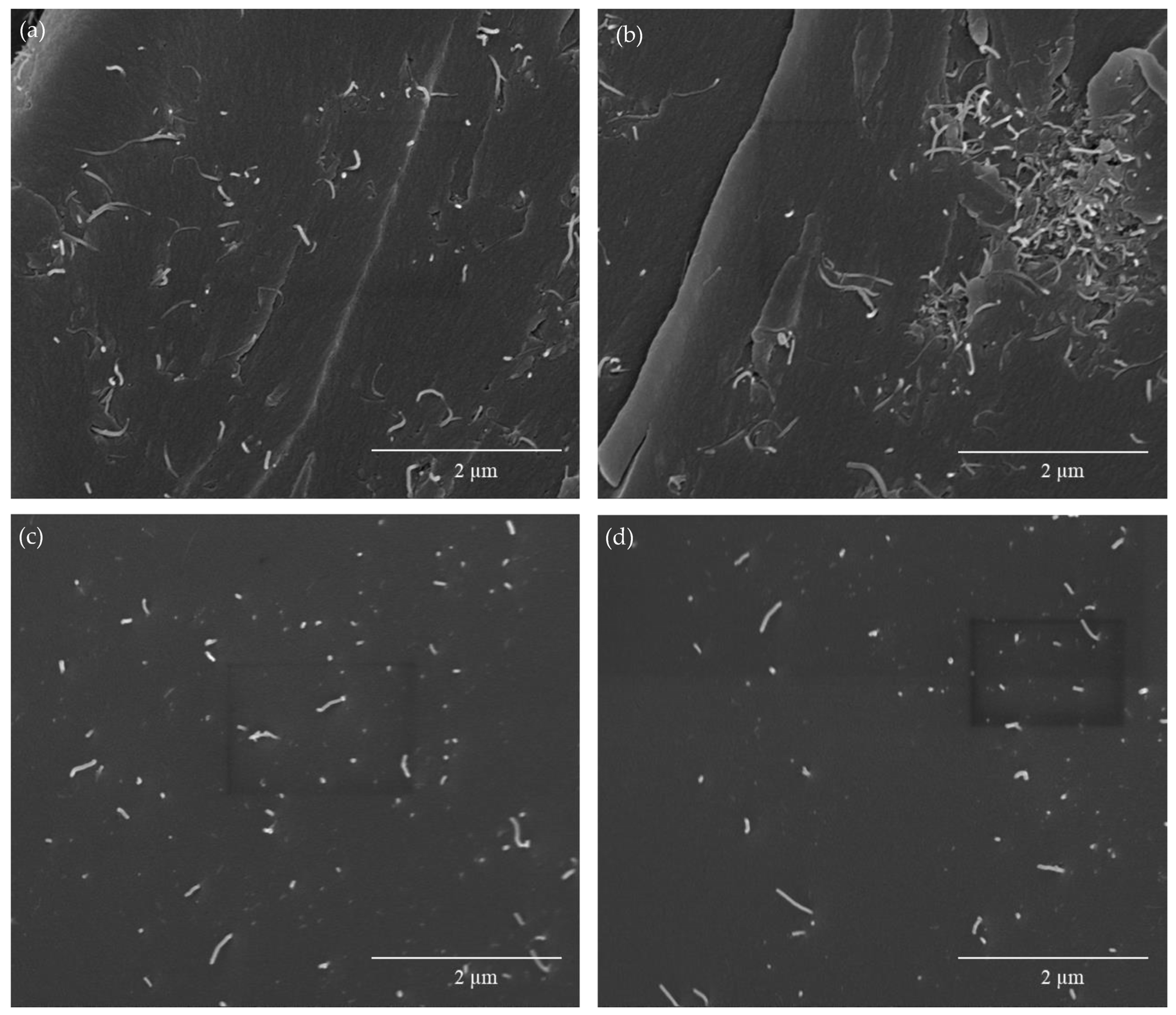 Polymers 15 04715 g004
