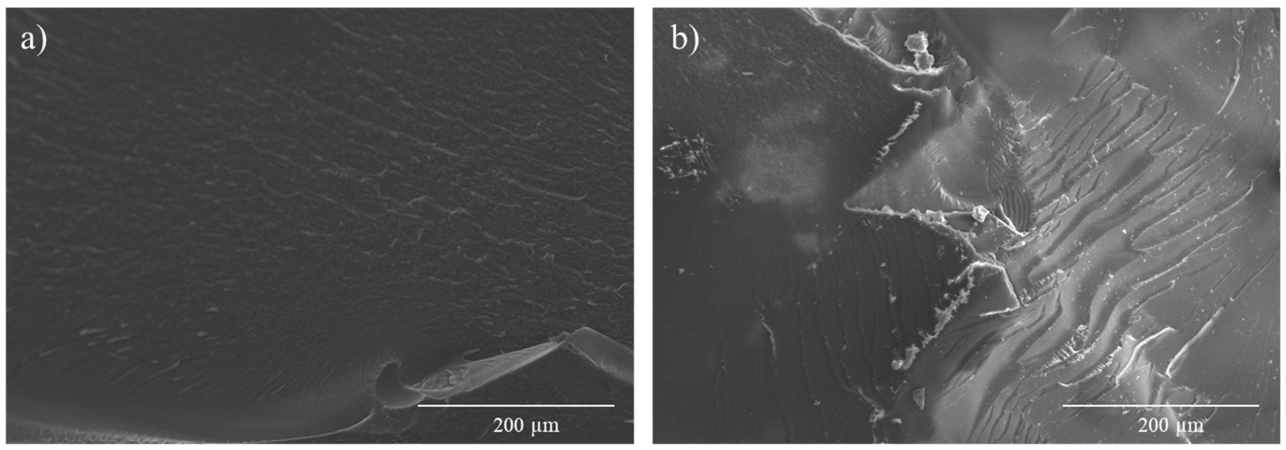 Polymers 15 04715 g009