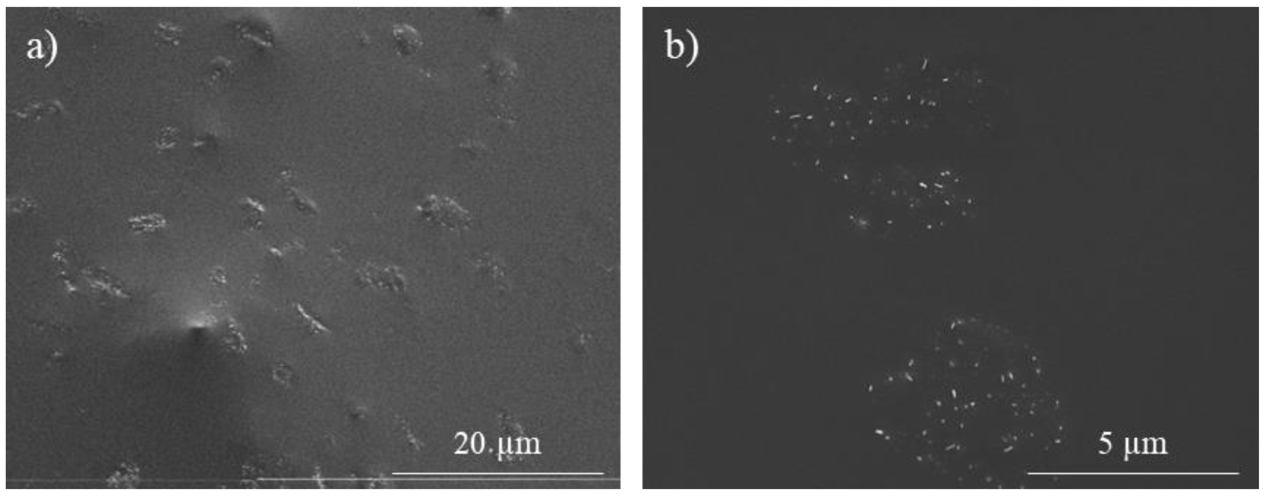 Polymers 15 04715 g0a2