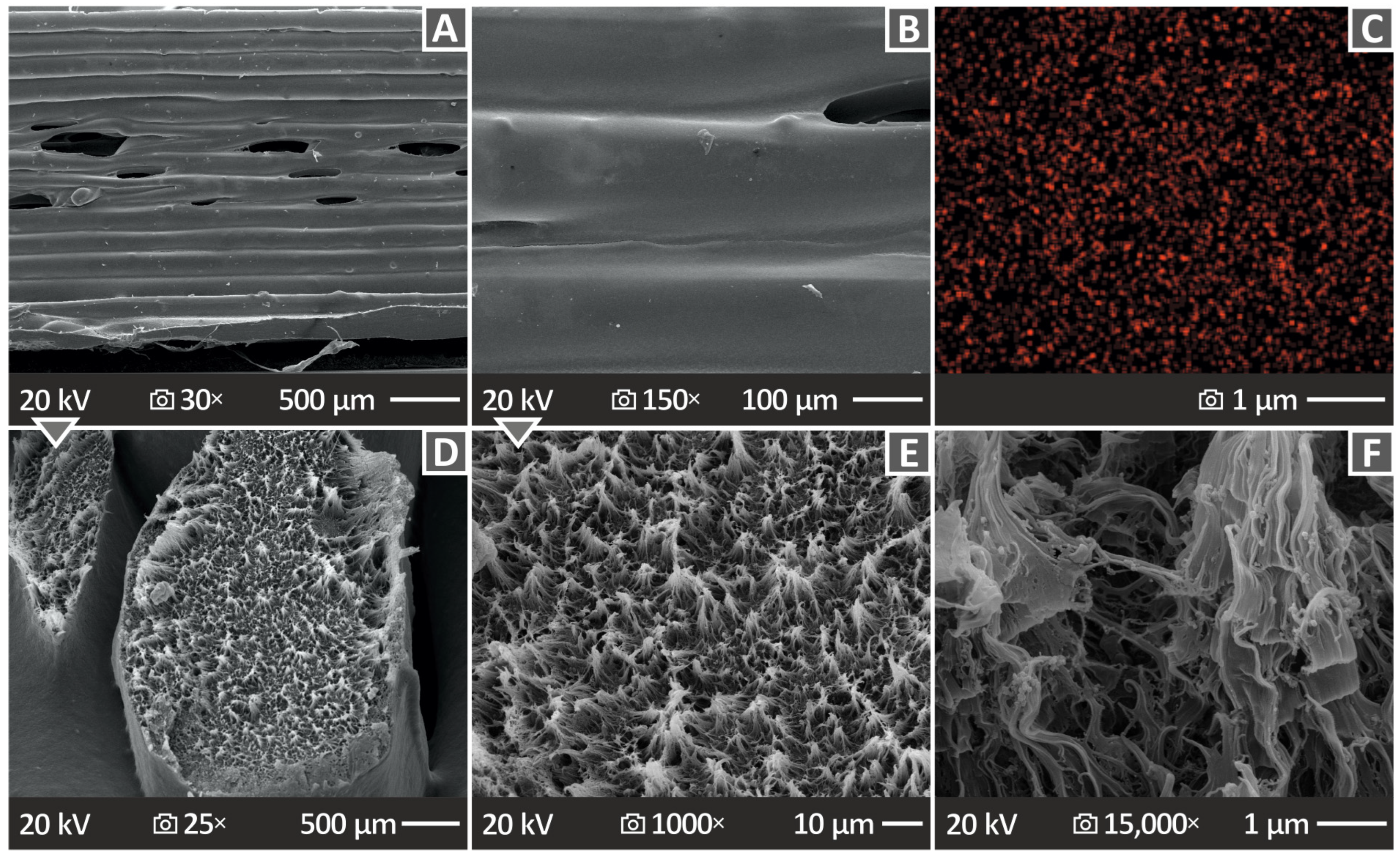 Polymers 15 04717 g012