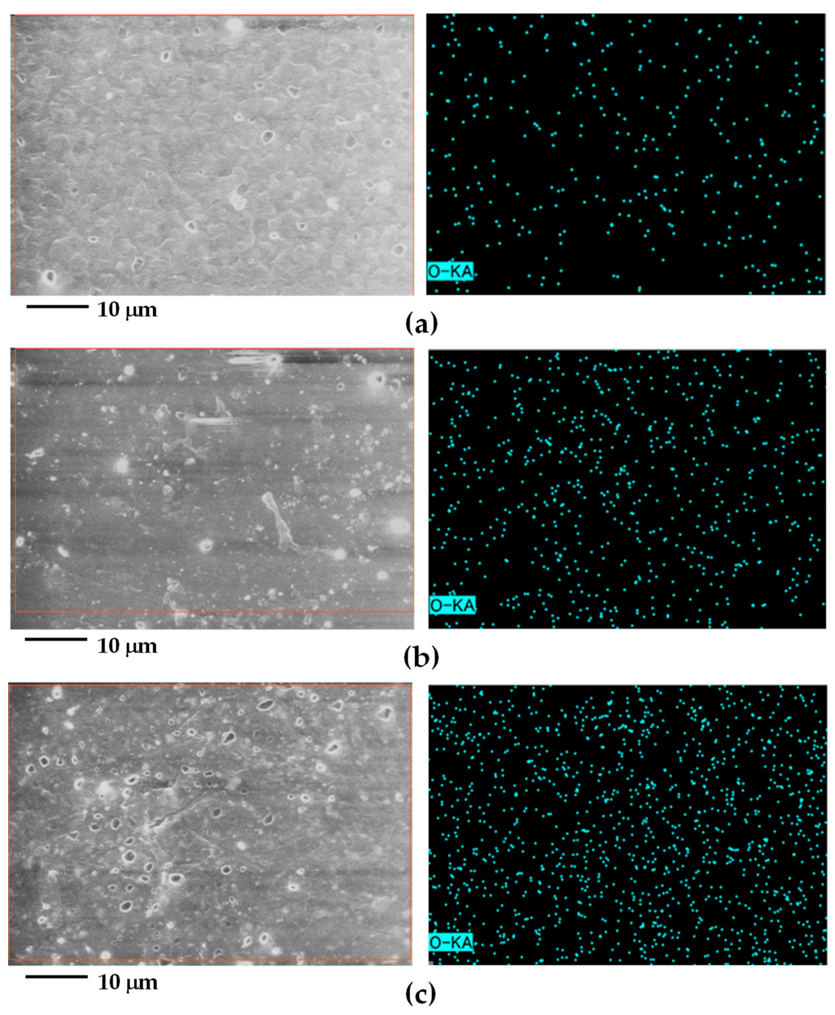 Polymers 15 04718 g003