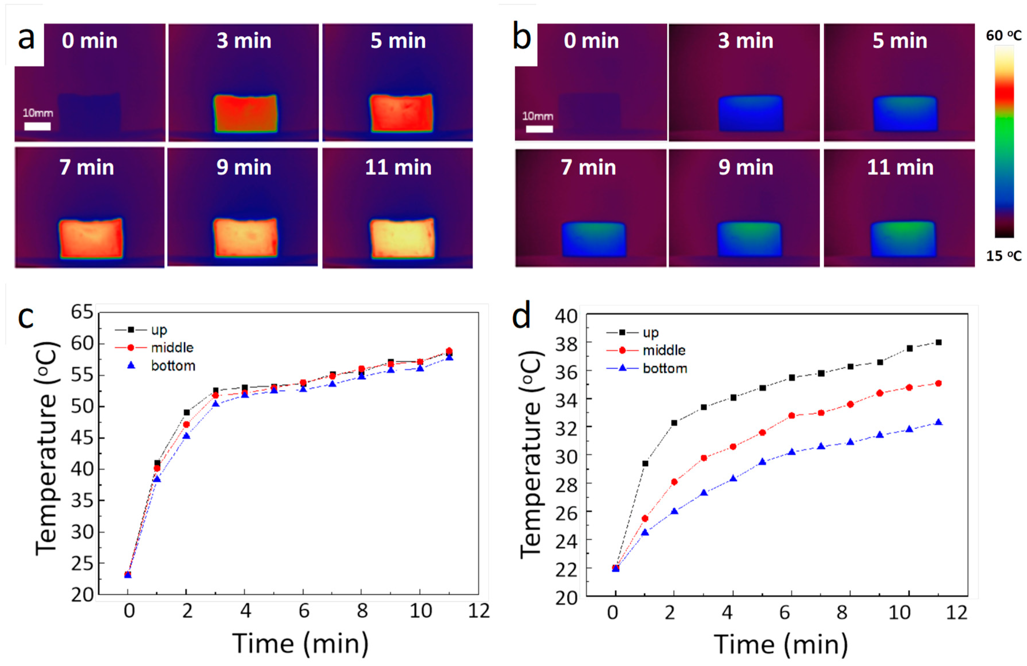 Polymers 15 04723 g004