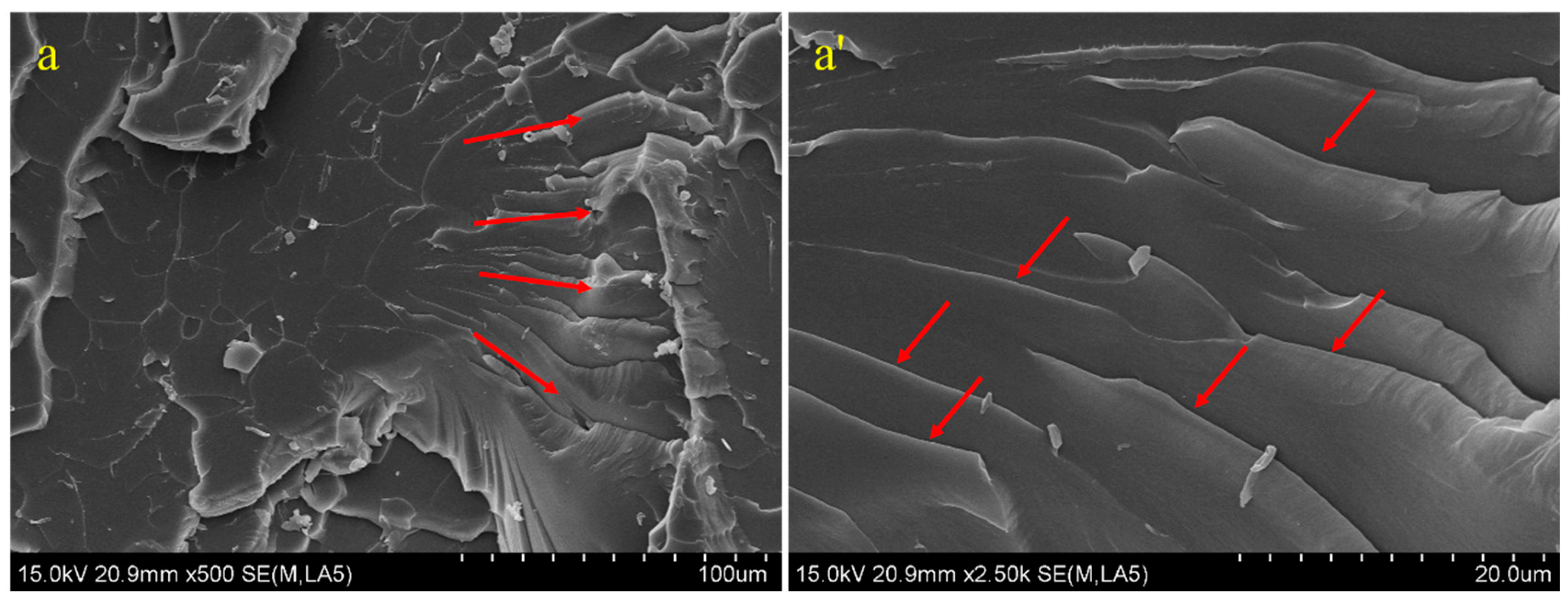 Polymers 15 04726 g022a