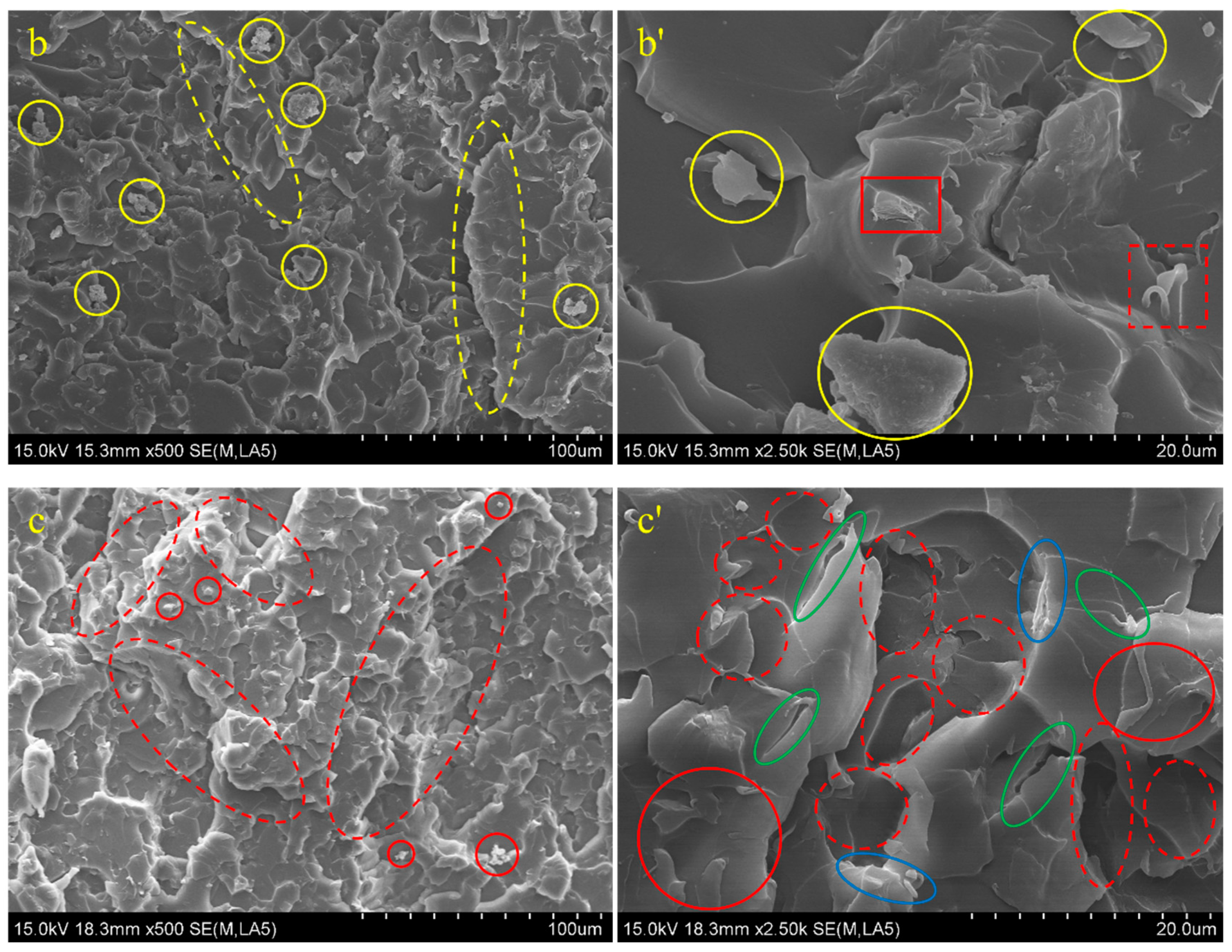 Polymers 15 04726 g022b