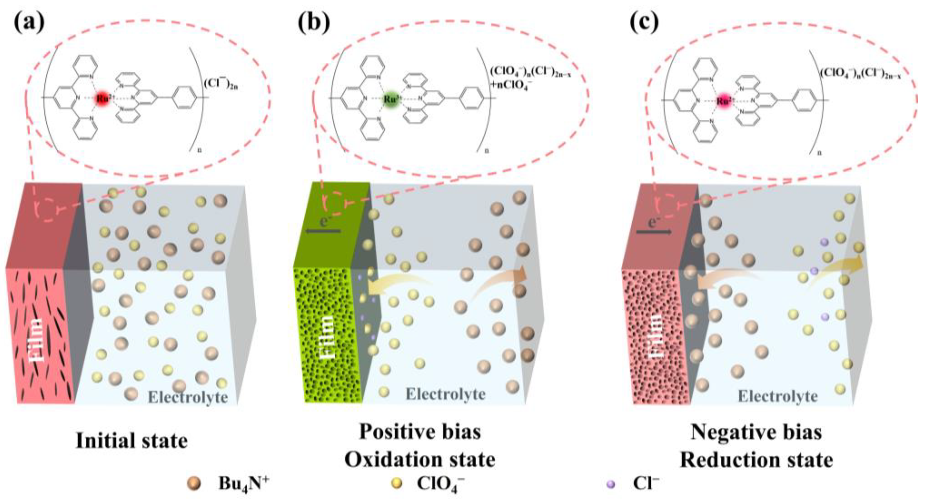 Polymers 15 04735 g001 Polymers 15 04735 g001
