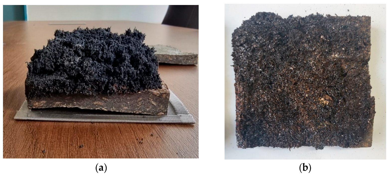 Polymers 15 04736 g006