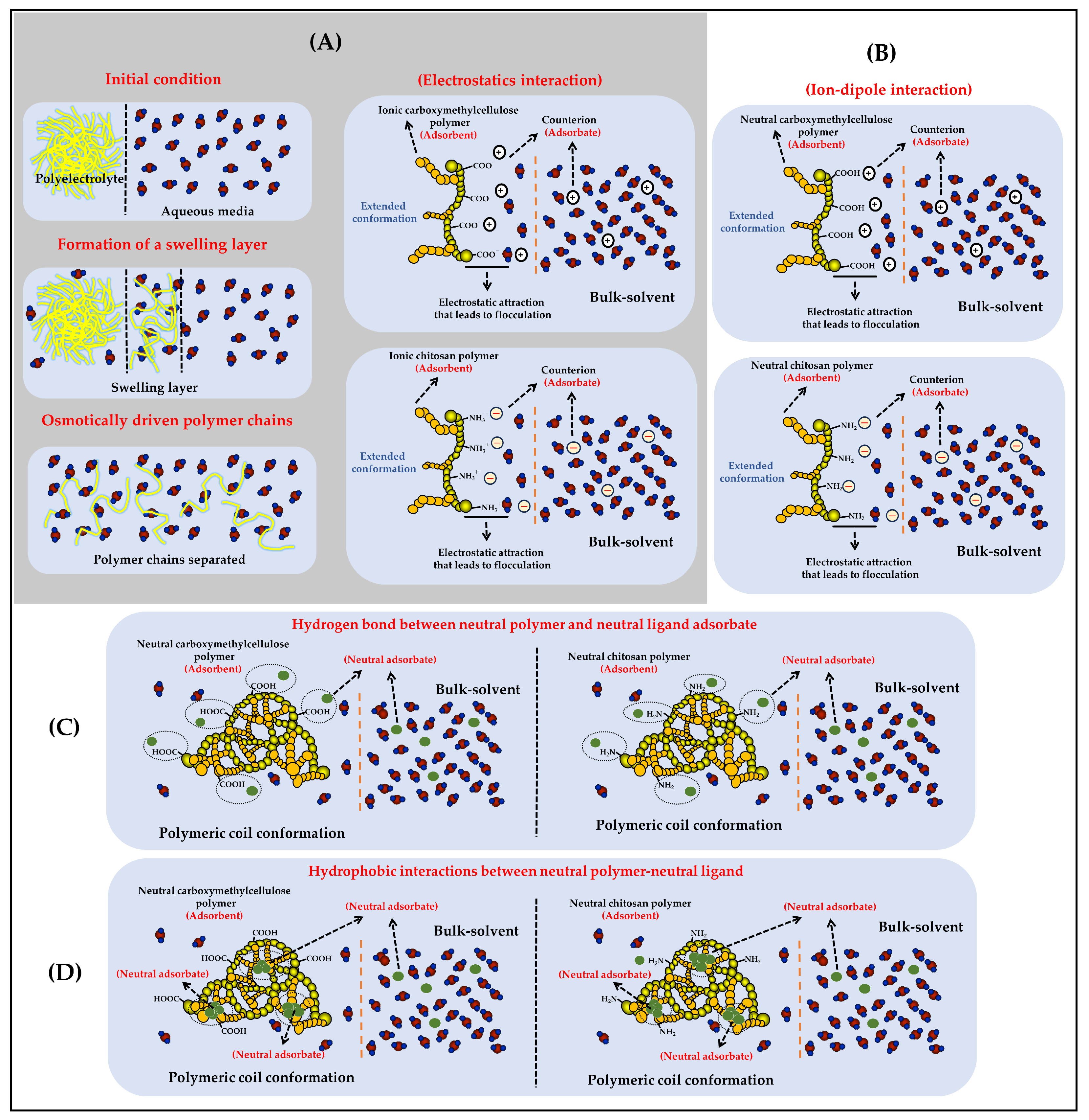 Polymers 16 00011 g002