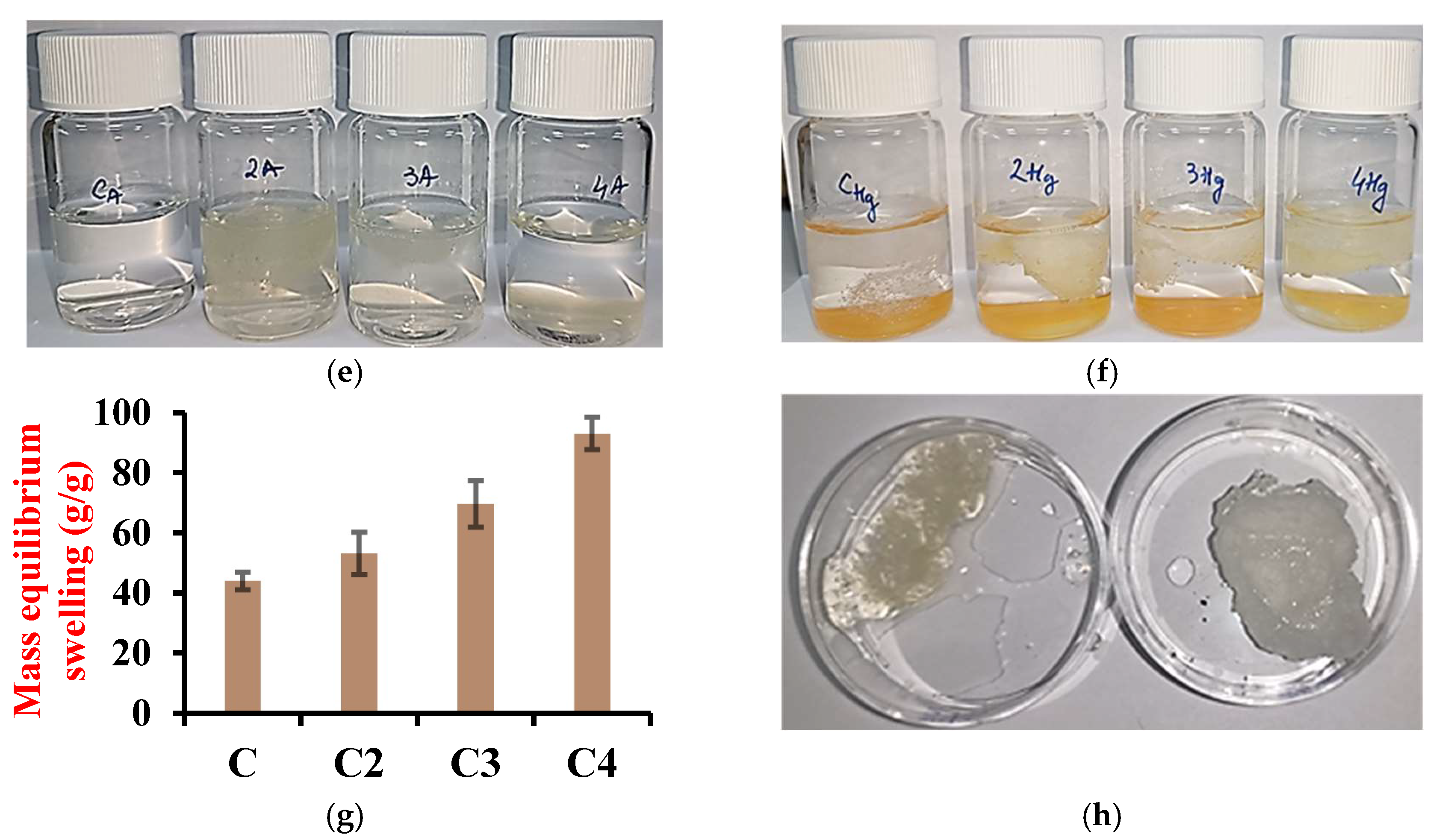 Polymers 16 00019 g005b
