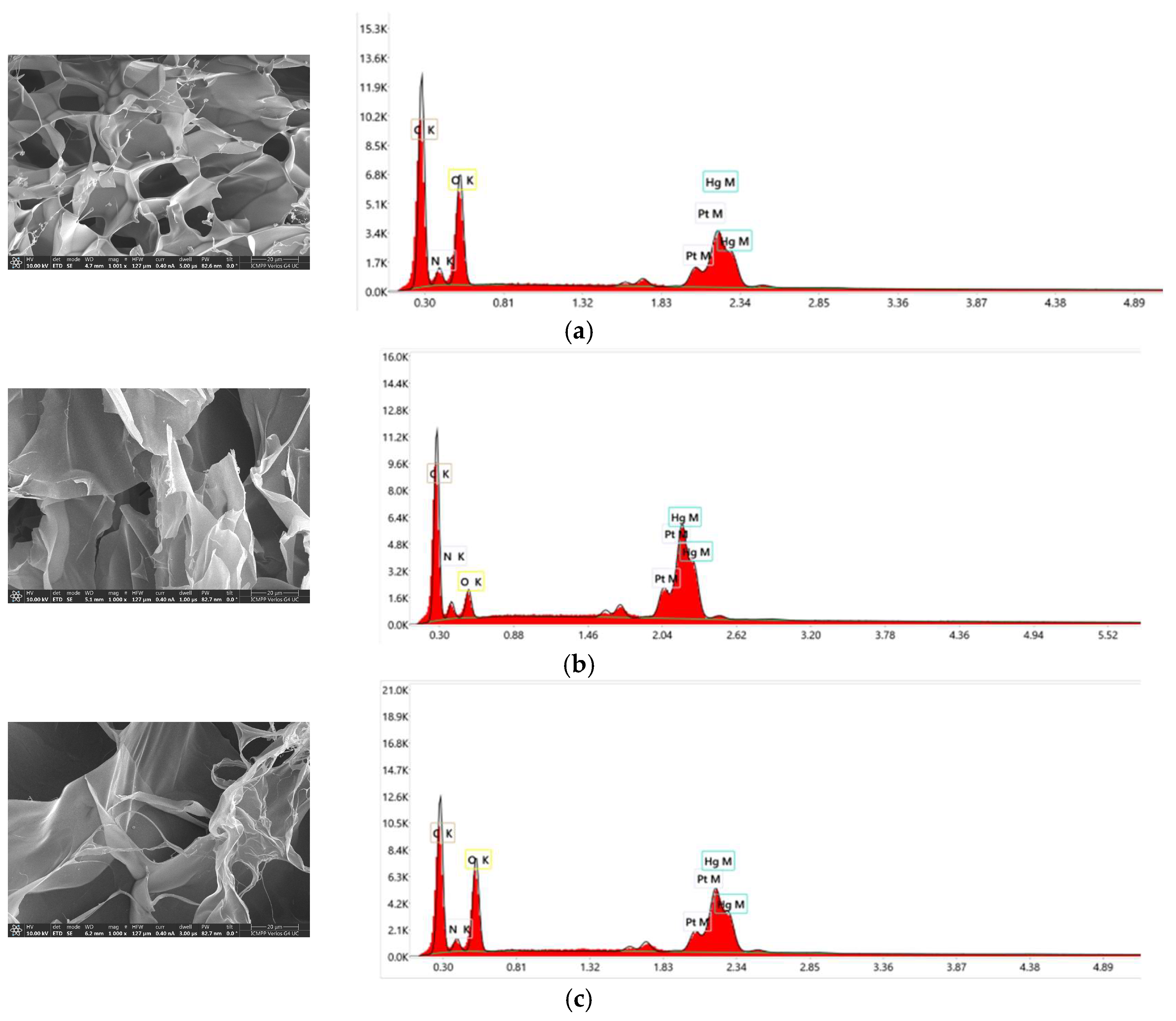 Polymers 16 00019 g010