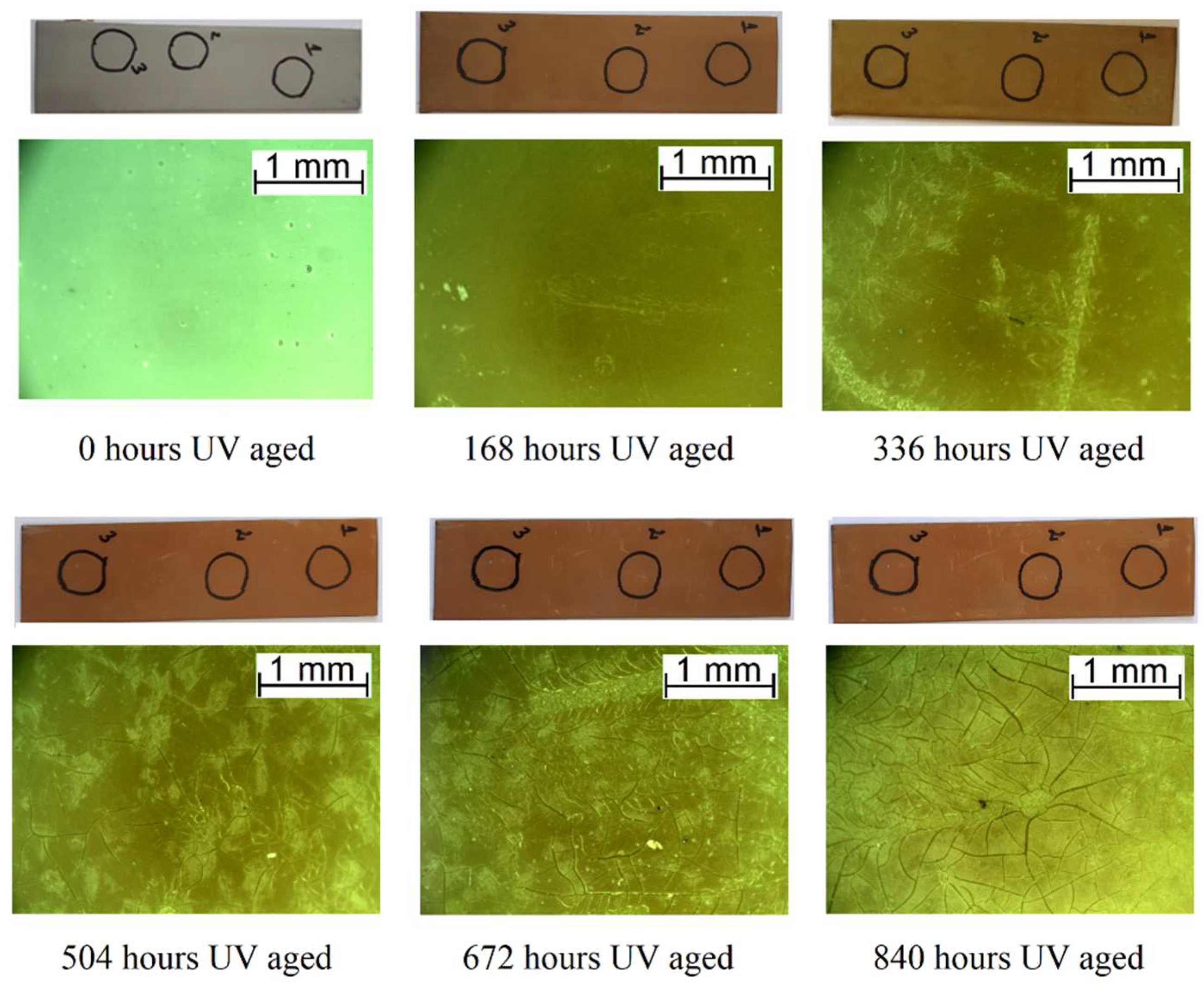 Polymers 16 00023 g004