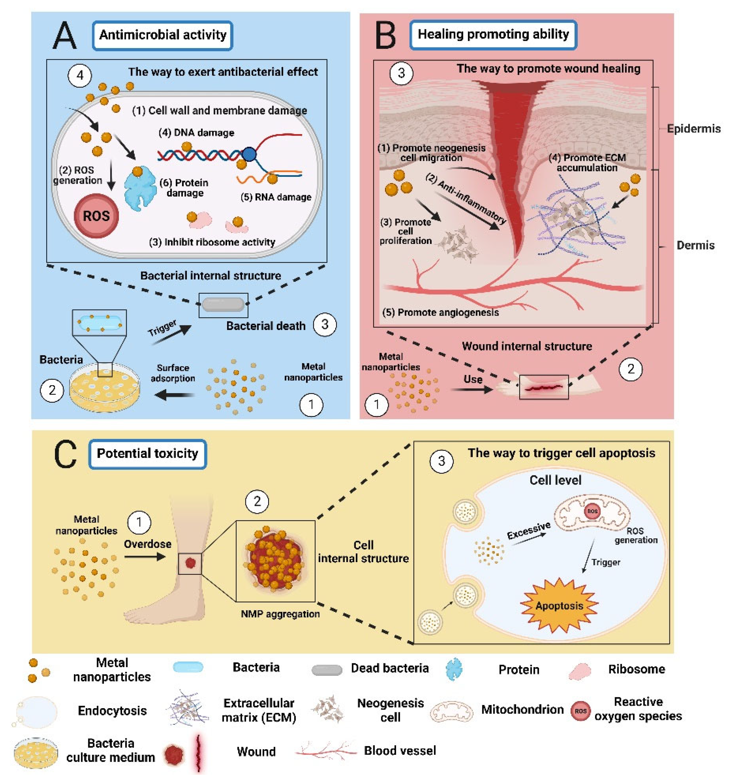 Polymers 16 00024 g004 Polymers 16 00024 g004