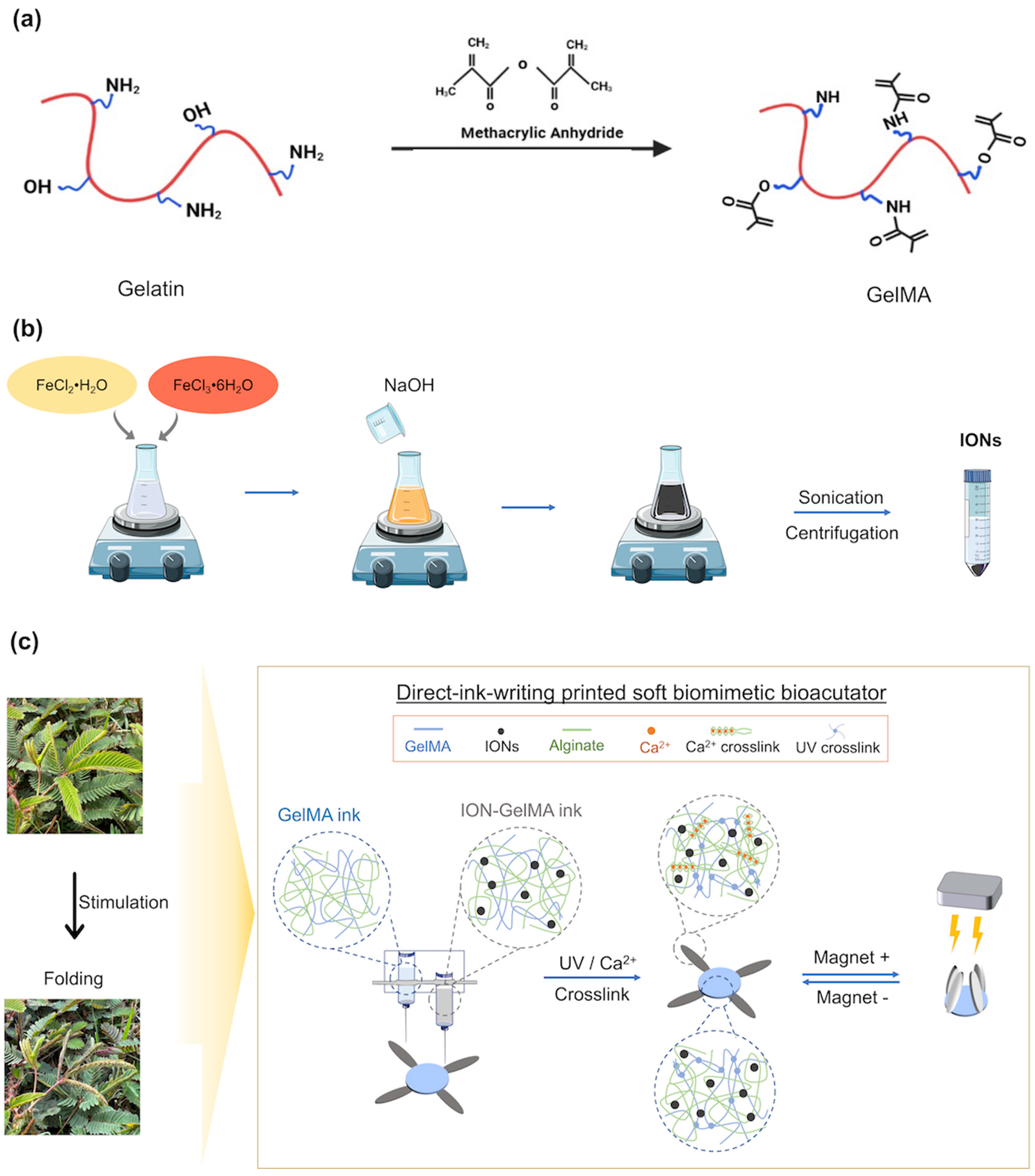 Polymers 16 00025 g001