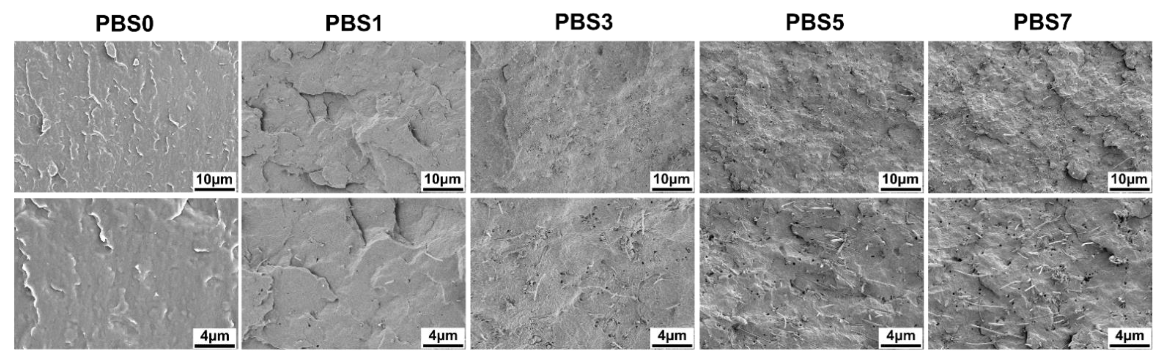 Polymers 16 00028 g002